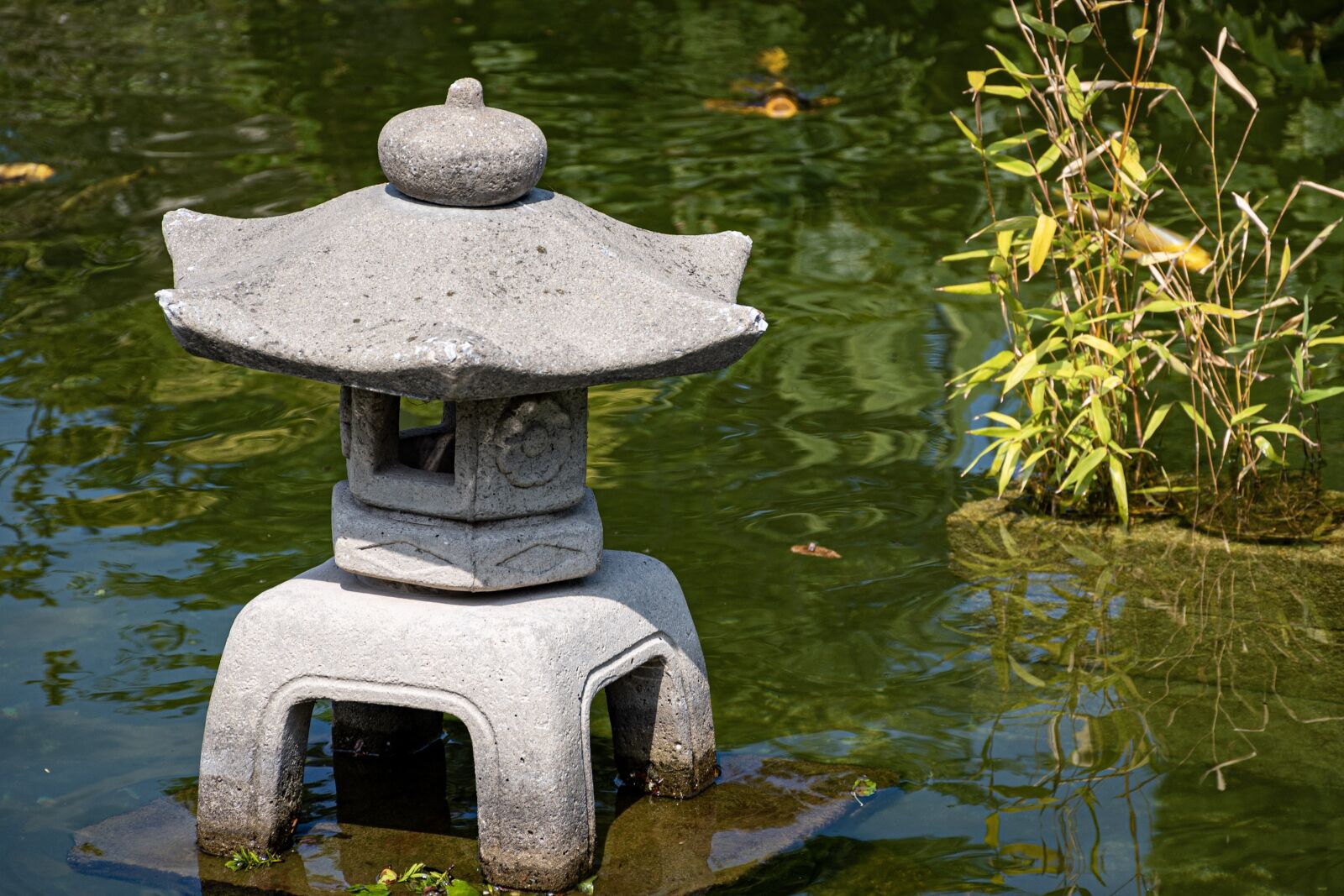 Nikon D750 sample photo. Belle isle, koi pond photography