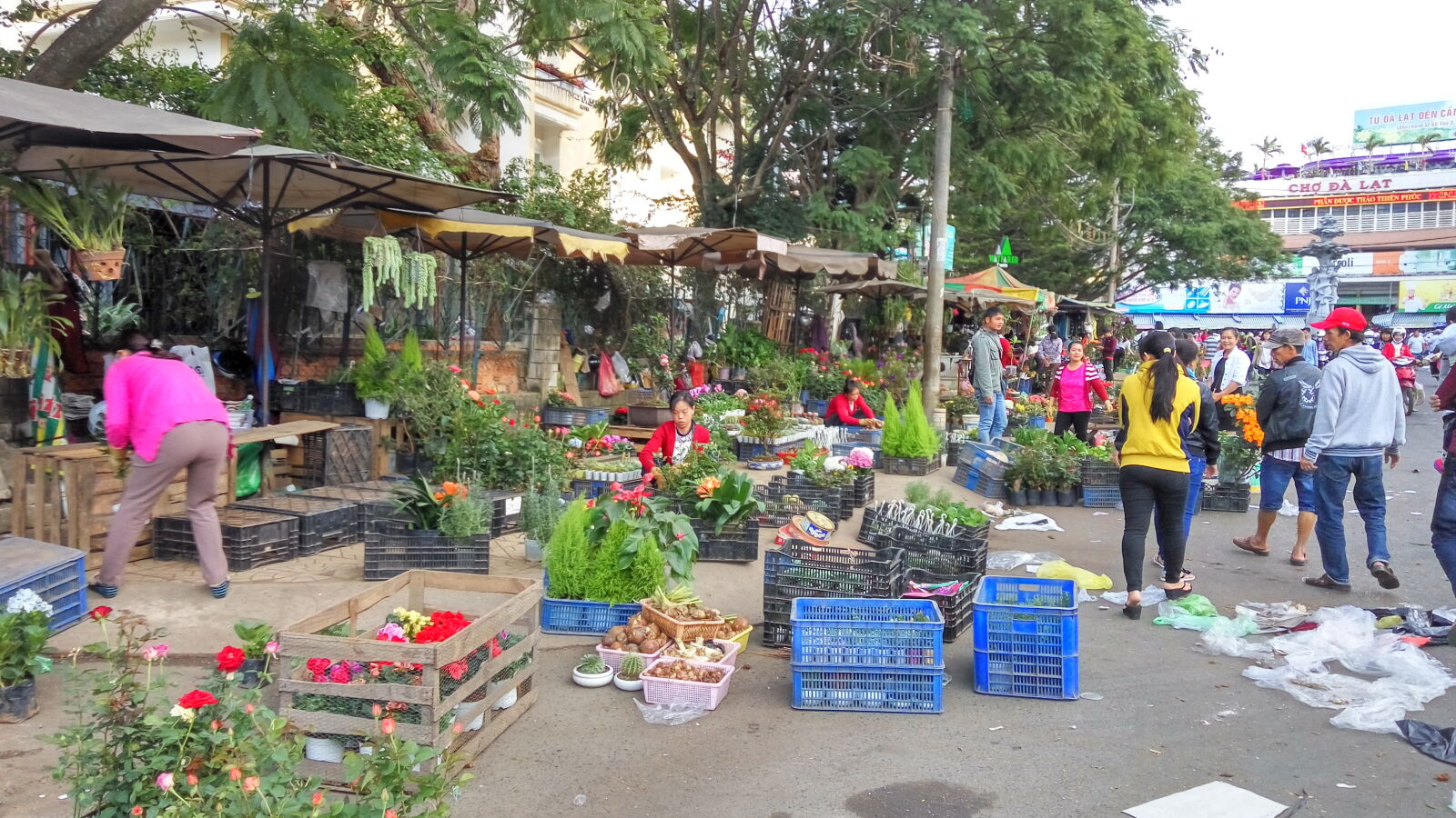 Xiaomi Redmi Note 3 sample photo
