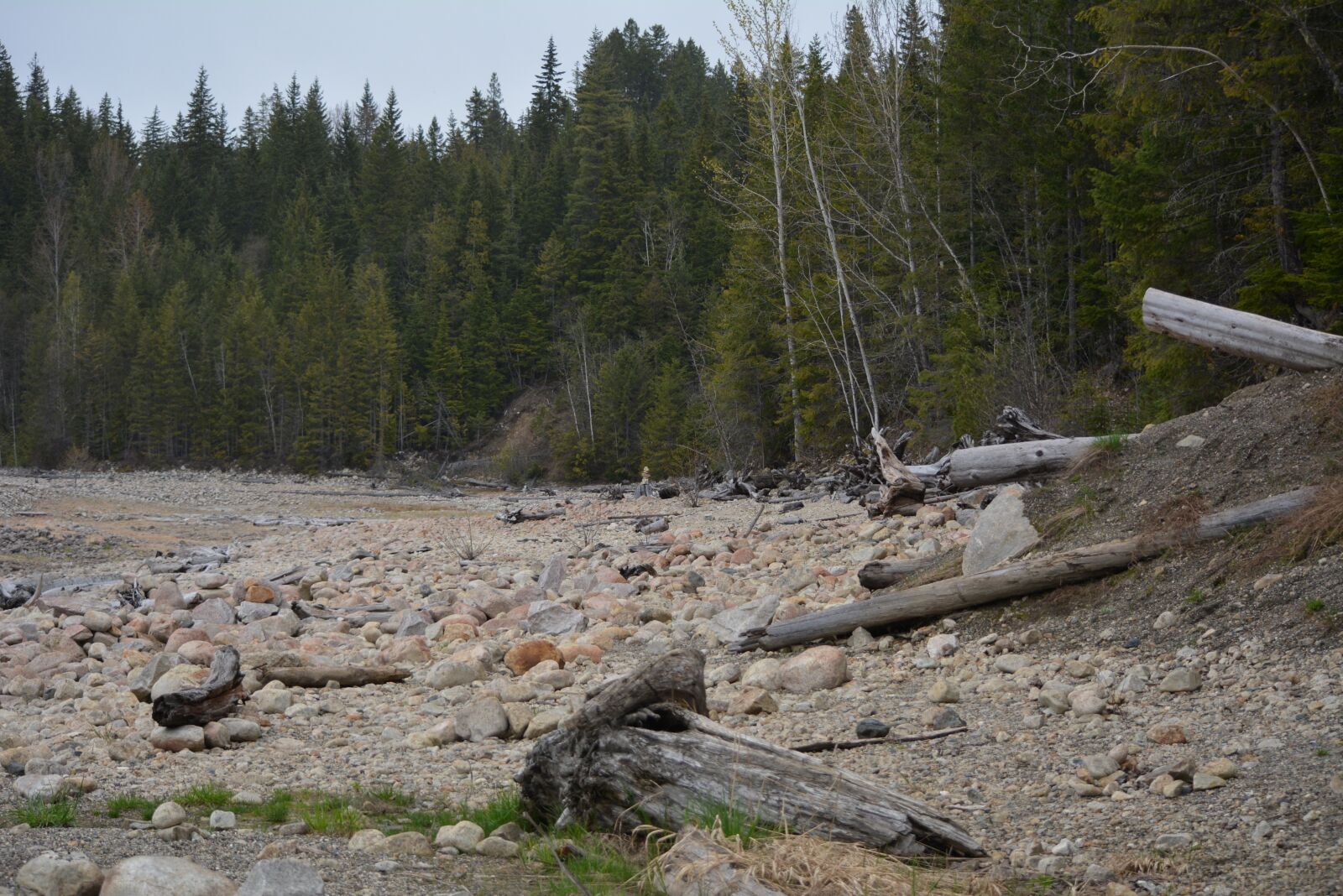 Nikon D5200 sample photo. Beach, rocks, trees photography