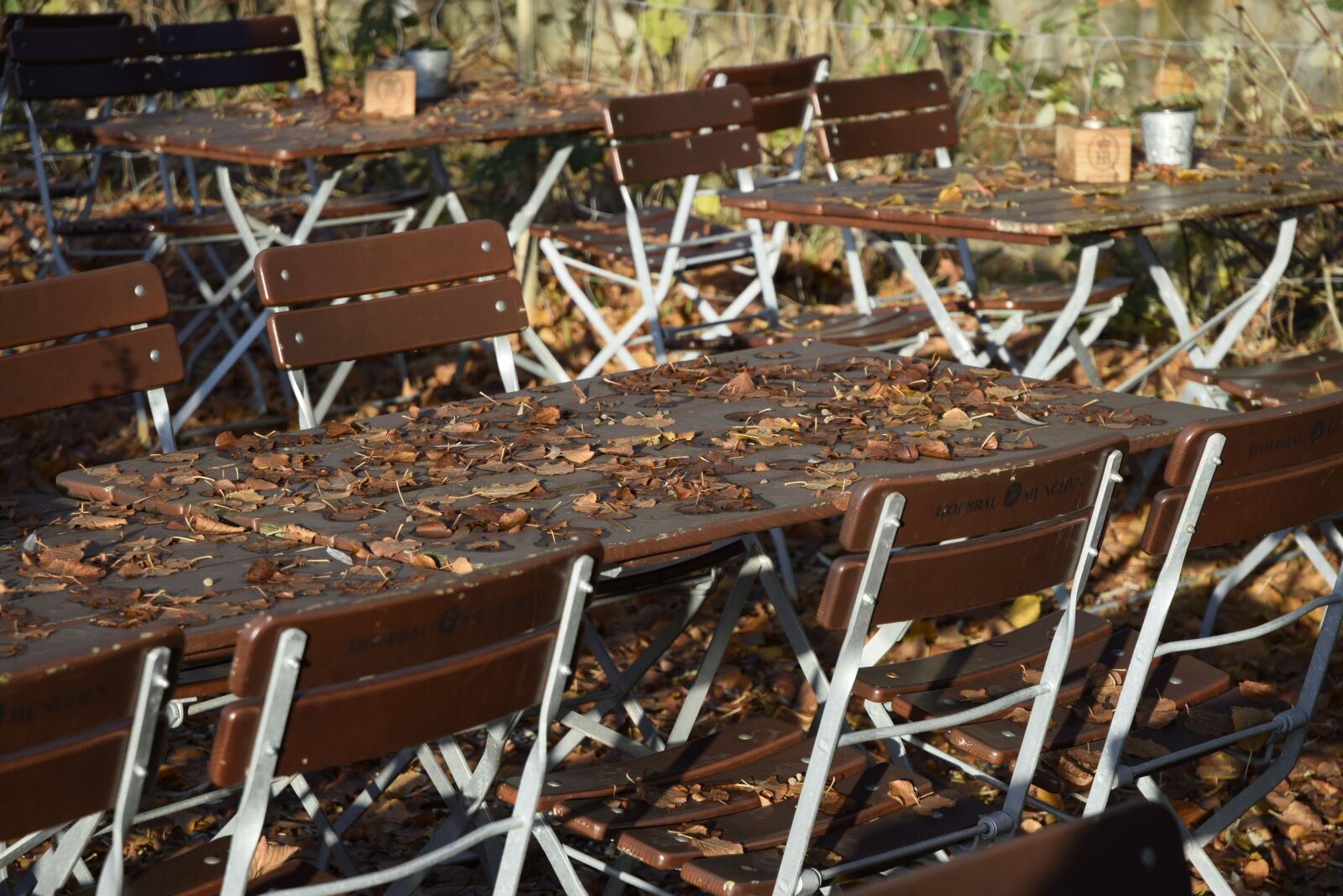 Nikon D5300 sample photo. Beer garden, autumn, leaves photography