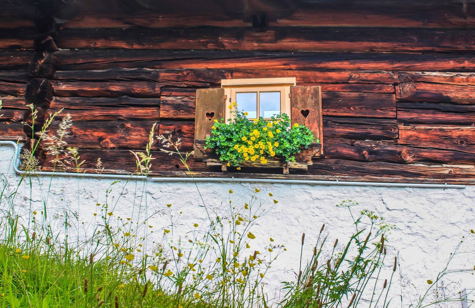 Canon EOS 1100D (EOS Rebel T3 / EOS Kiss X50) sample photo. Wood, house, flower, architecture photography