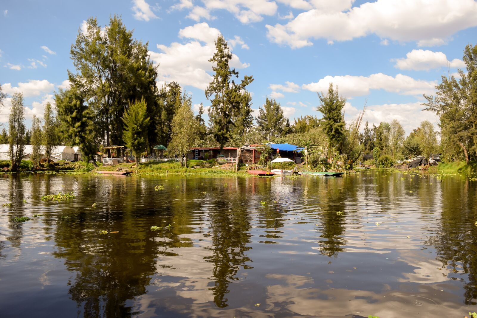 Nikon D3300 sample photo. Xochimilco, channels, cdmx photography