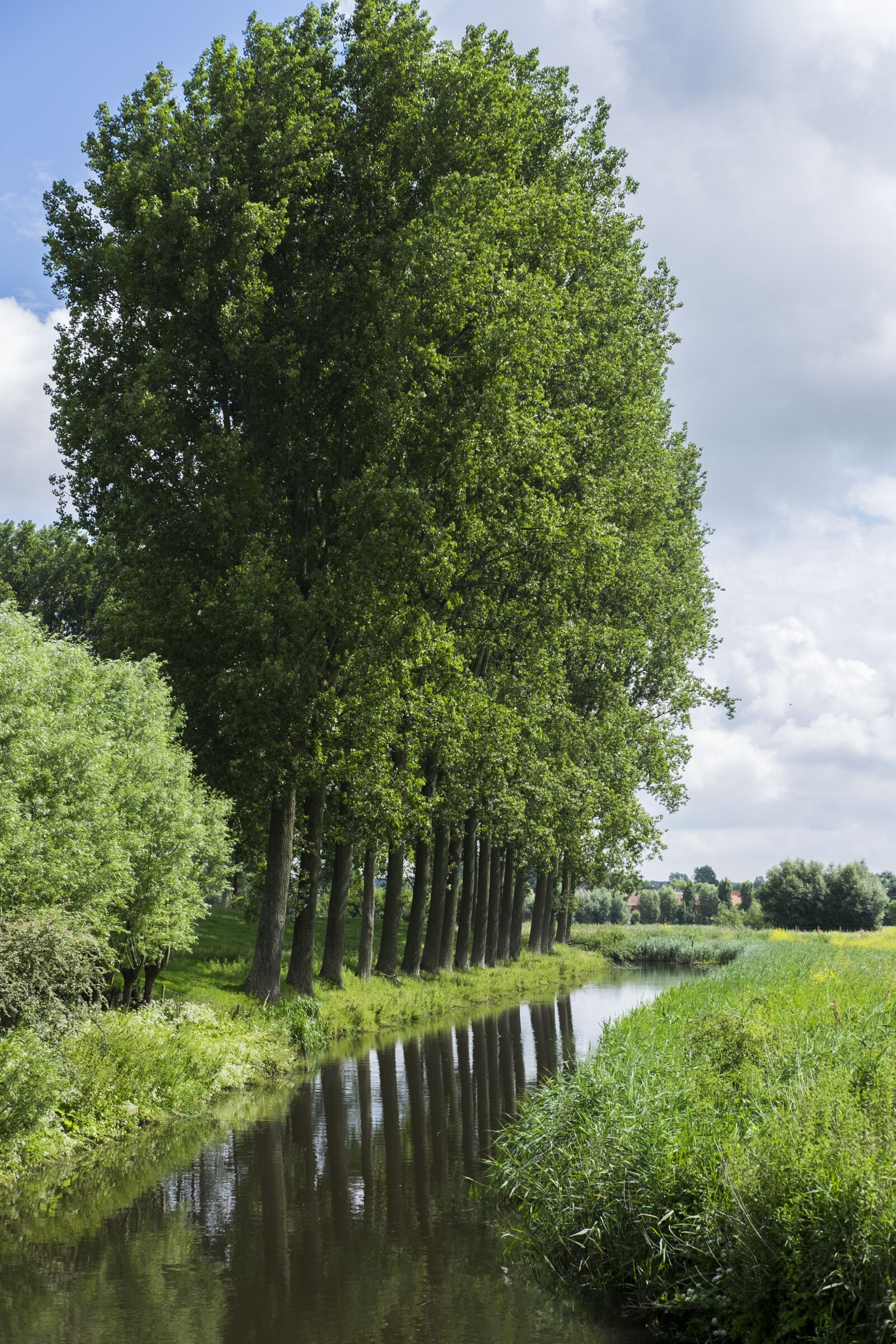 Fujifilm XF 35mm F2 R WR sample photo. Damme bruges, channel, light photography