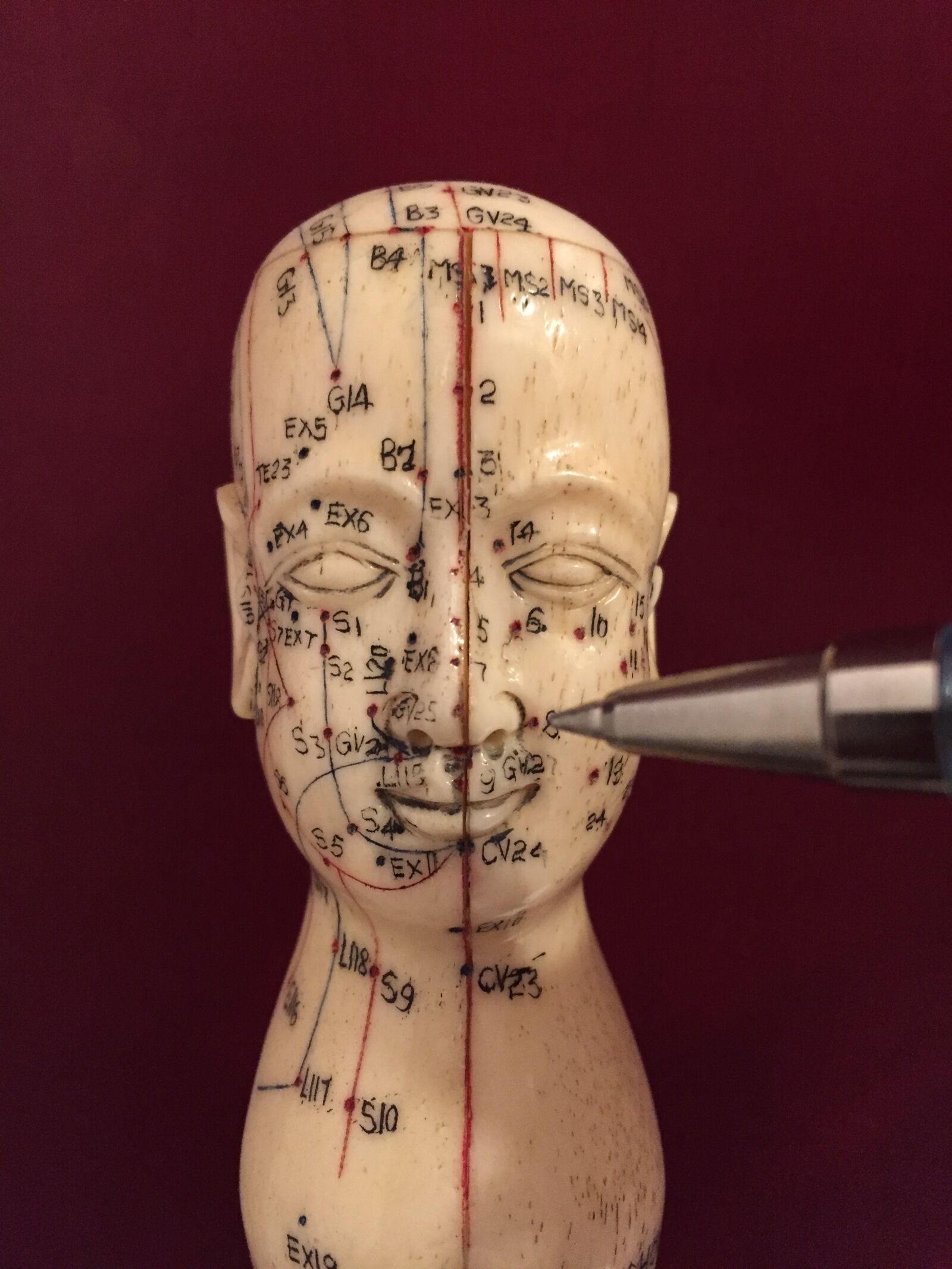 Apple iPhone 6 sample photo. Acupuncture, acupuncture points, acupuncturist photography