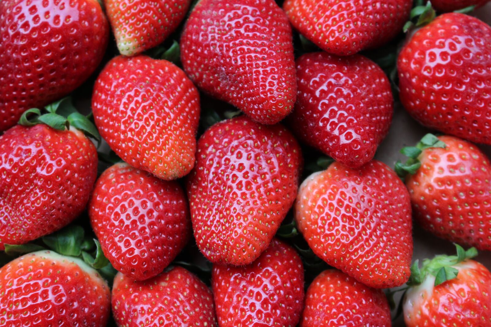 Canon EOS 100D (EOS Rebel SL1 / EOS Kiss X7) sample photo. Strawberries, fruit, red photography