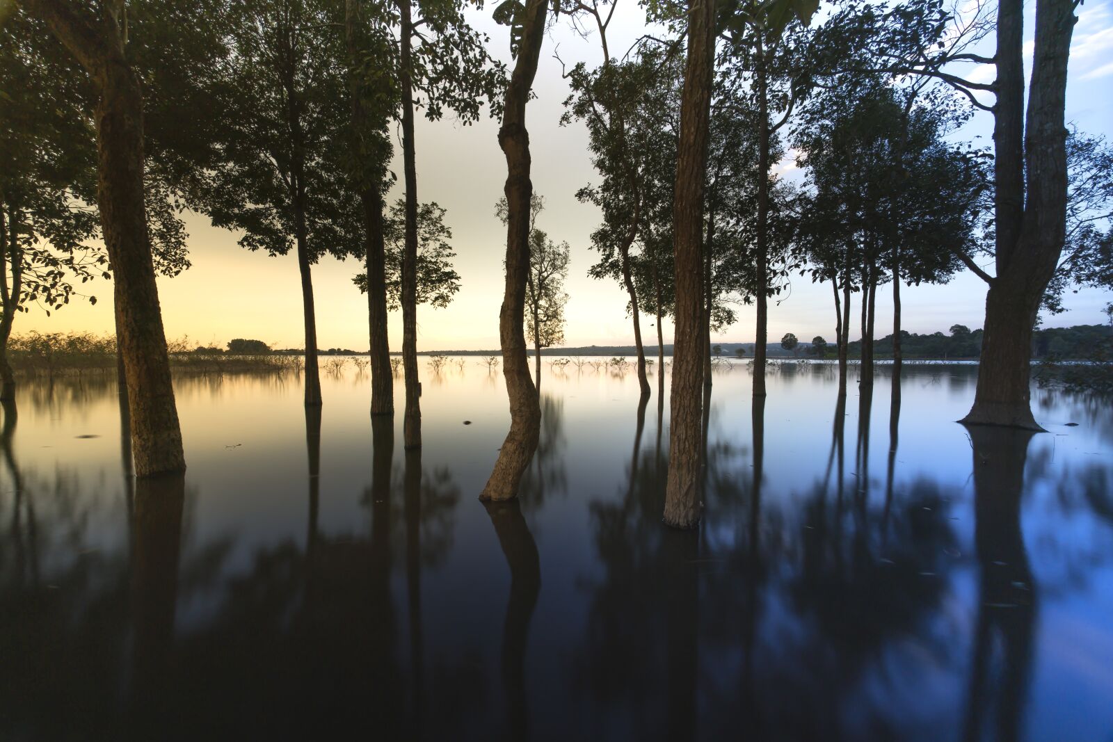 Voigtlander ULTRA WIDE-HELIAR 12mm F5.6 III sample photo. Sunset, outdoor, tree photography