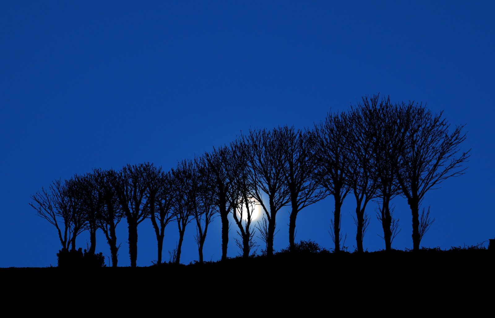 Canon PowerShot G1 X Mark III sample photo. Night, moon, nature photography