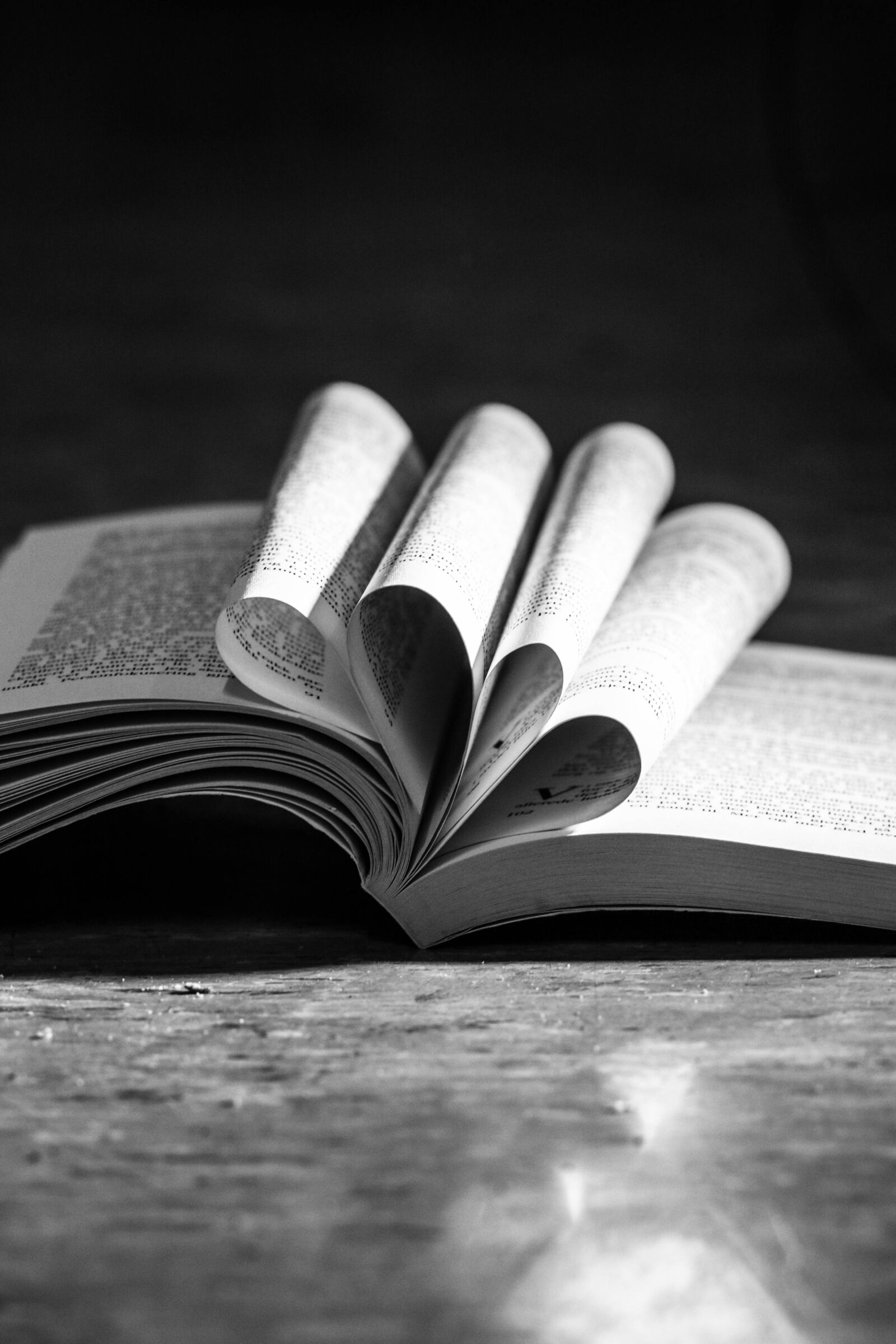 Canon EOS 7D Mark II sample photo. Book, reading, pages photography