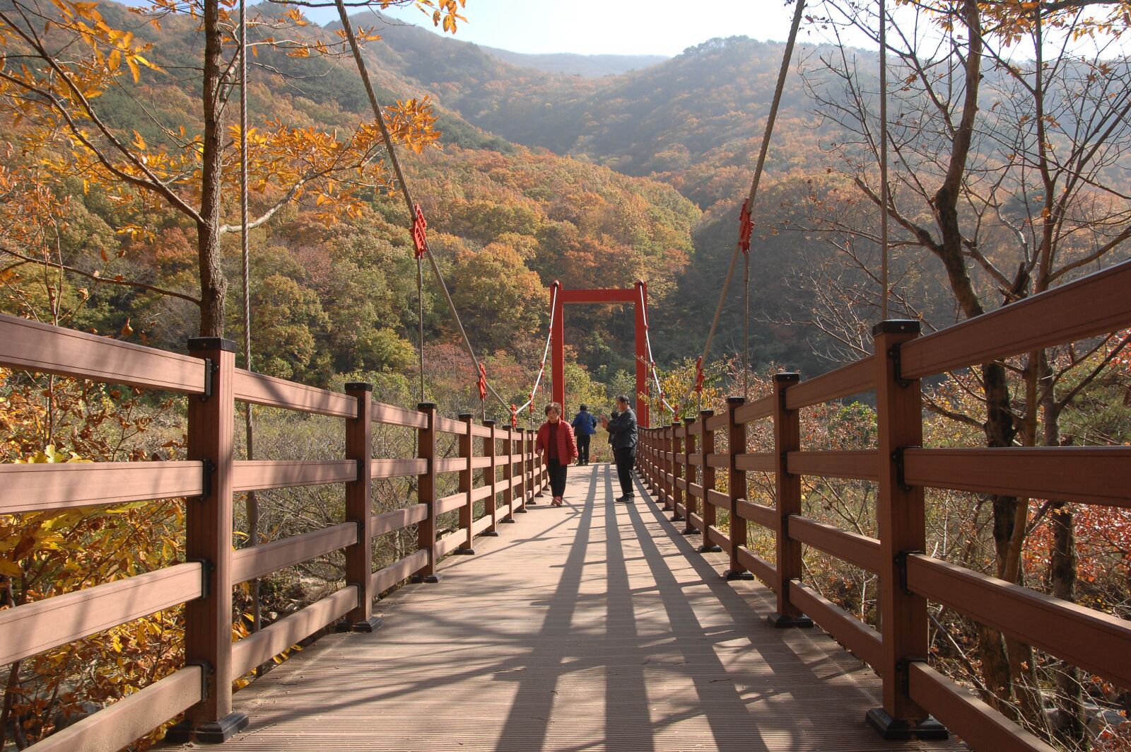 Nikon D2Xs sample photo. Bridge, autumn, autumn leaves photography