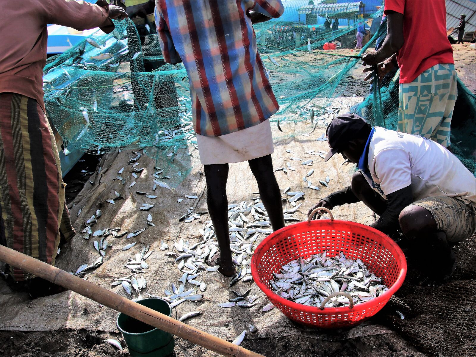 Canon EOS 80D sample photo. Poverty, work, a fishing photography