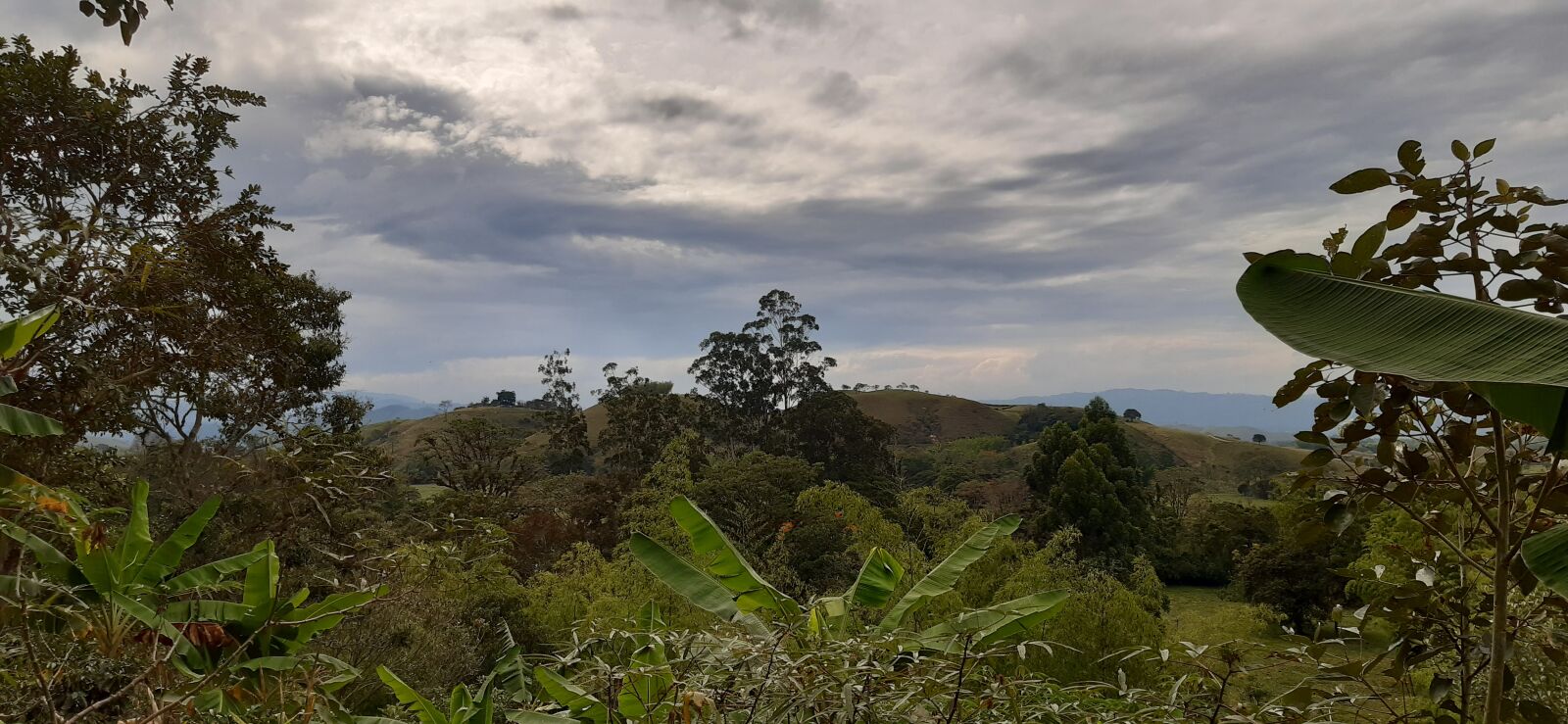 Samsung Galaxy A30 sample photo. Landscapes, cloudy day, blue photography
