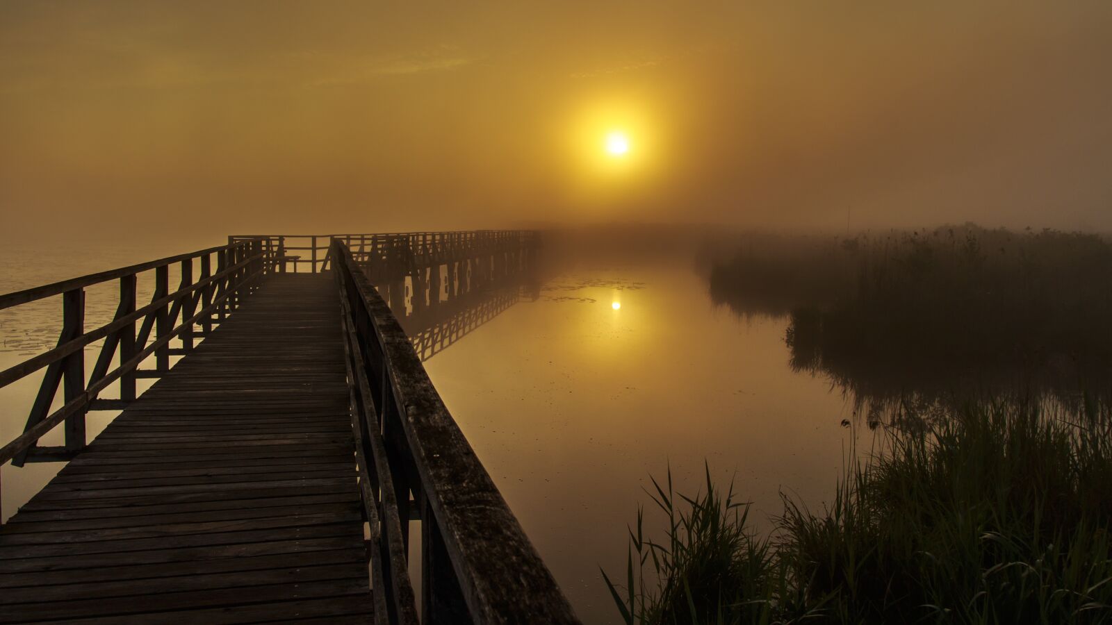 Canon EOS 650D (EOS Rebel T4i / EOS Kiss X6i) sample photo. Spring lake, web, sunrise photography