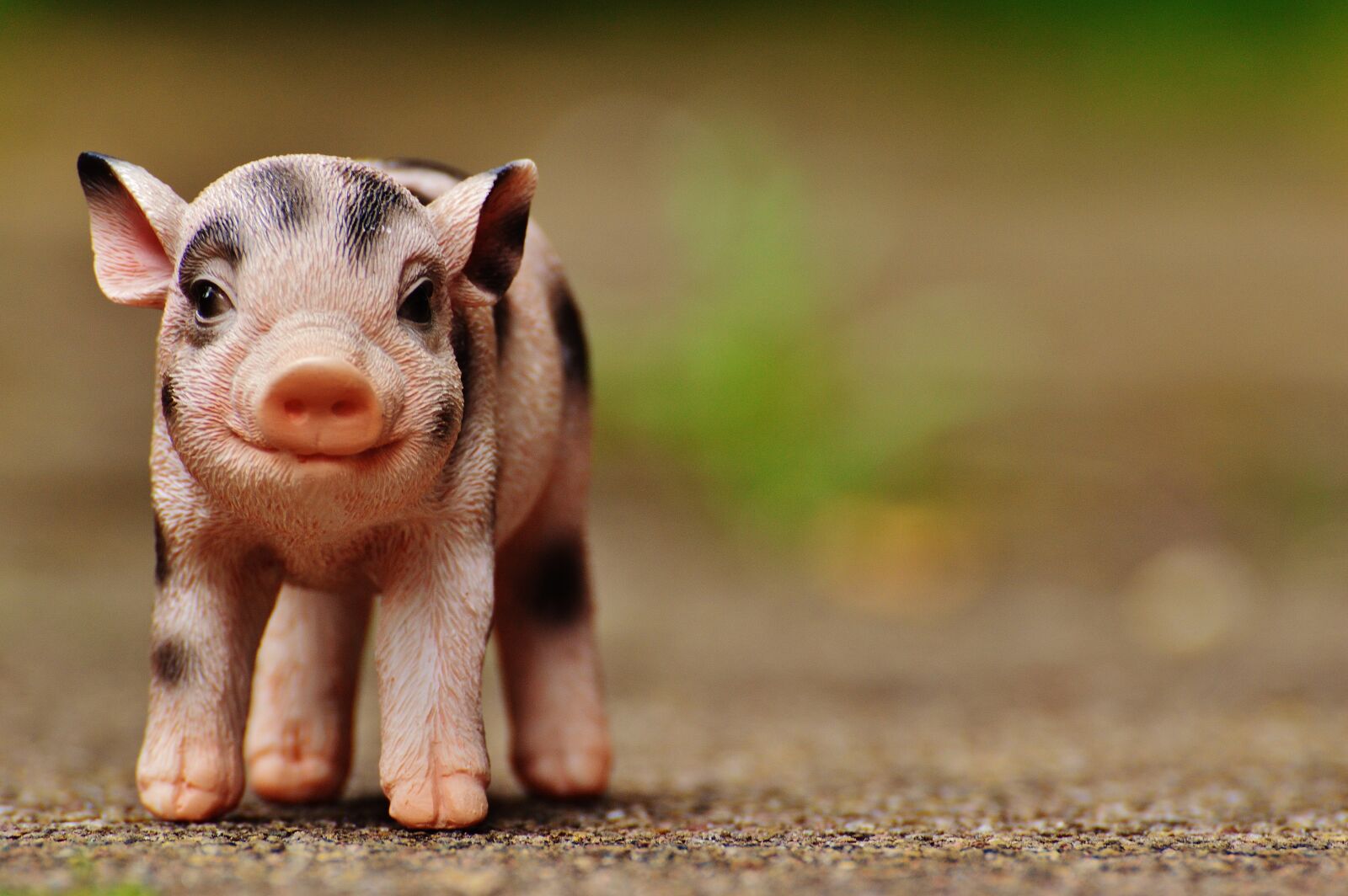Nikon D3200 sample photo. Piglet, figure, cute photography