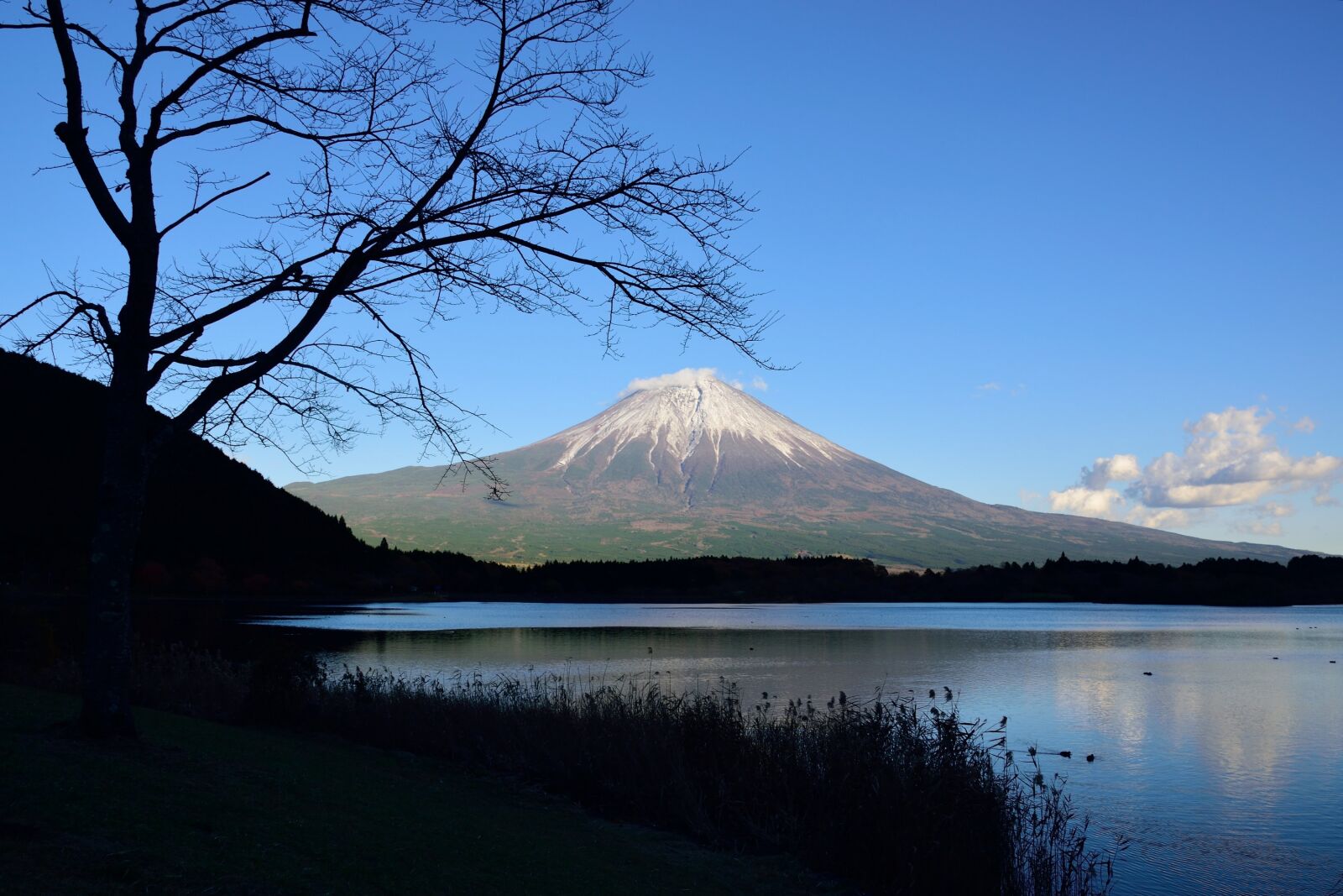 Nikon D5300 sample photo. Mountain, japan, hills photography