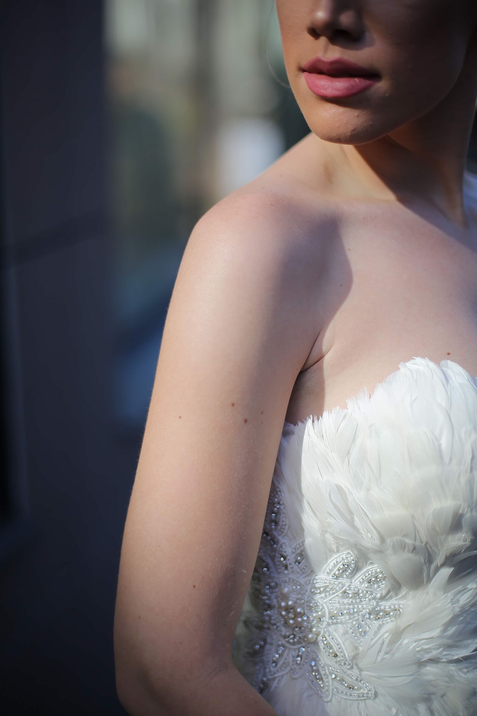 Canon EF 50mm F1.4 USM sample photo. Wedding dress, dress, feather photography