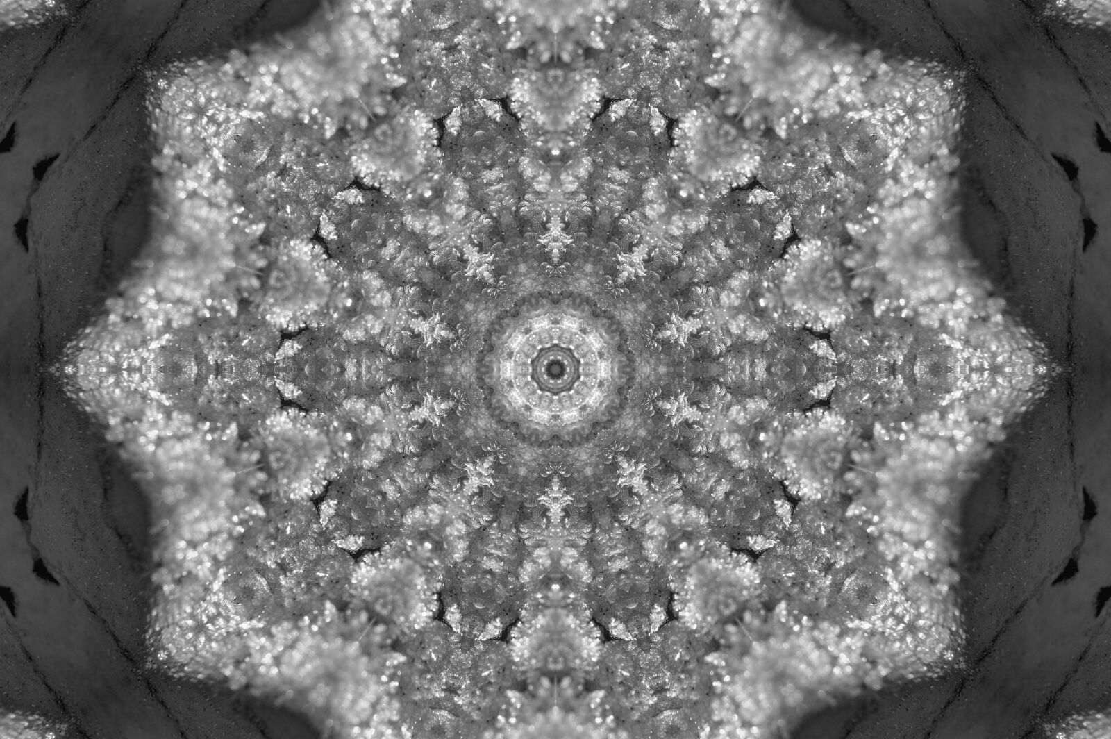 Nikon D3200 sample photo. Pattern, kaleidoscope, patterns photography