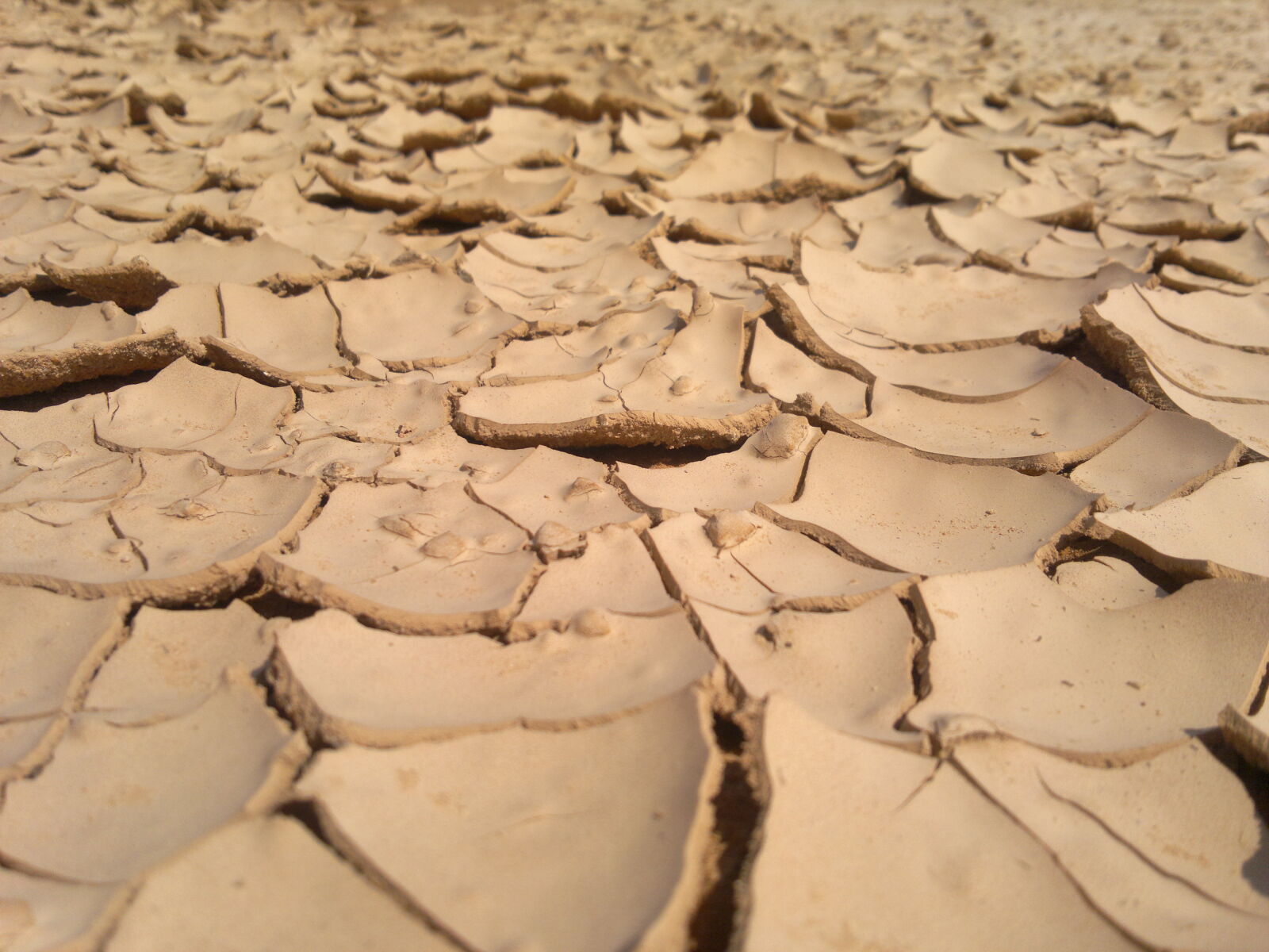 Nokia N8-00 sample photo. Desert, soil, of, desert photography