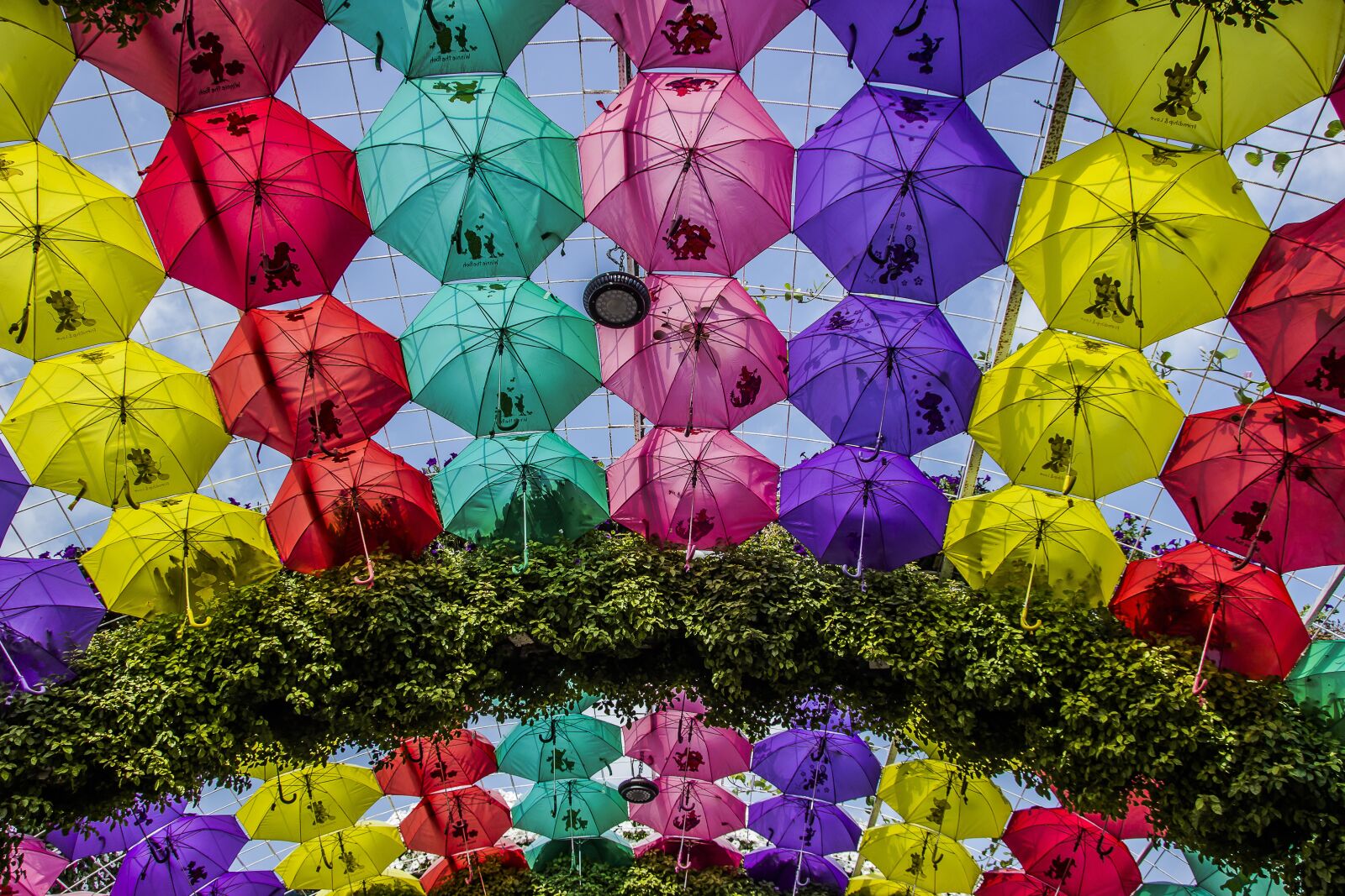 Canon EOS 600D (Rebel EOS T3i / EOS Kiss X5) sample photo. Miracle garden dubai, flowers photography