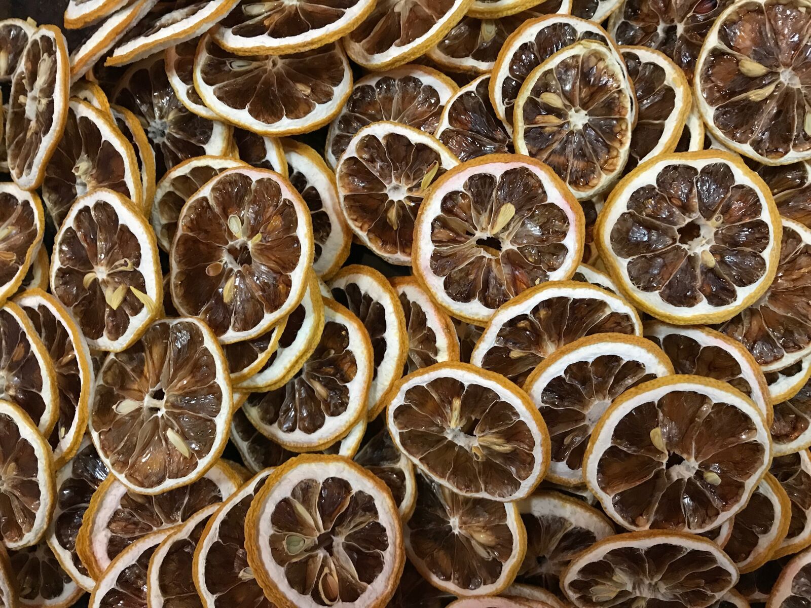 iPhone 7 Plus back dual camera 3.99mm f/1.8 sample photo. Lemon, dehydrated, dehydration photography