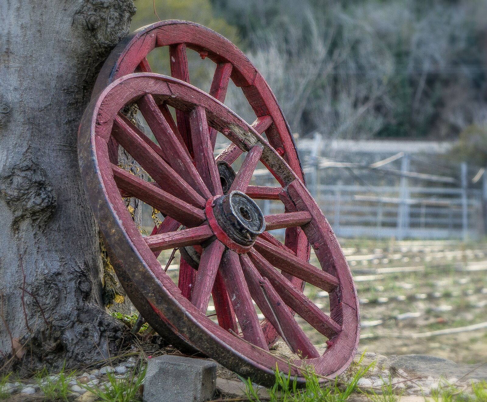 Sony E 55-210mm F4.5-6.3 OSS sample photo. Wheels, old, obsolete photography