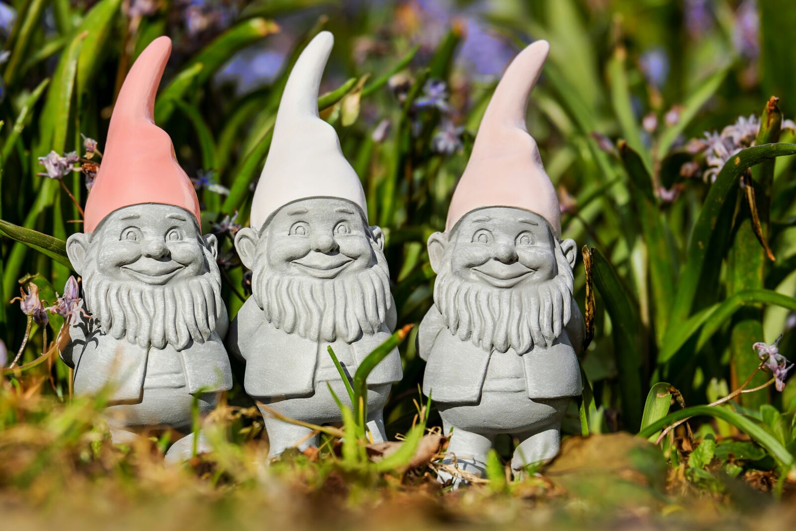 Fujifilm XF 55-200mm F3.5-4.8 R LM OIS sample photo. Imp, spring imp, figure photography