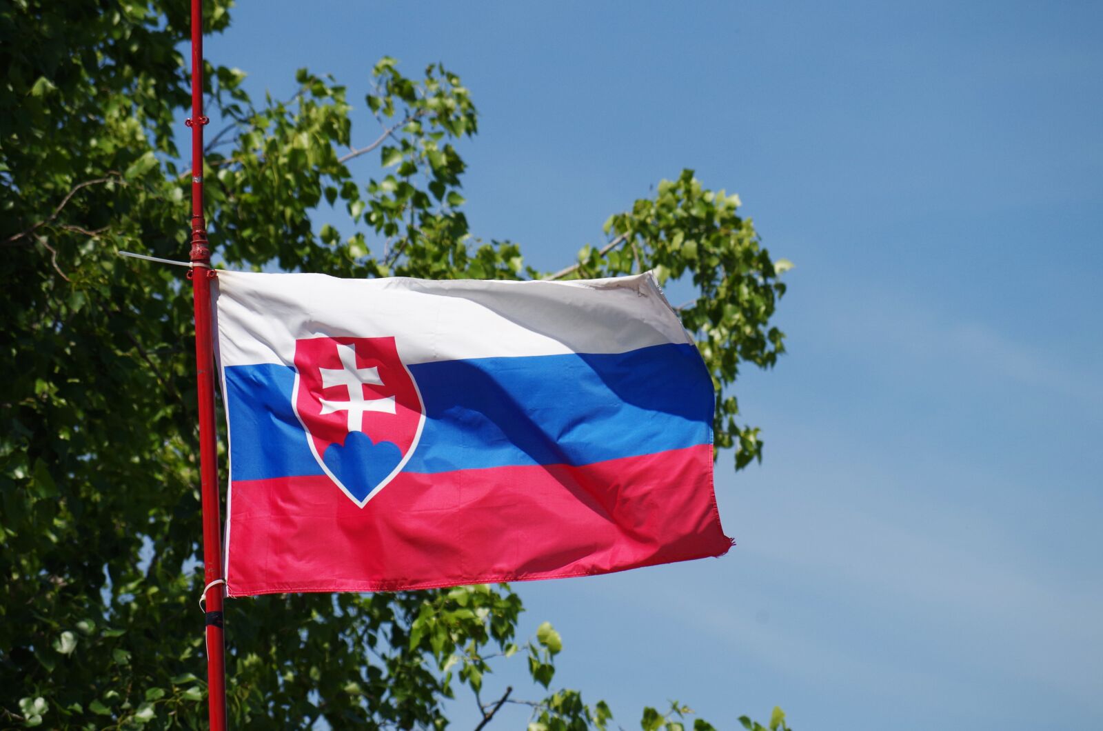 Pentax K-500 sample photo. Slovakia, flag, pledge photography
