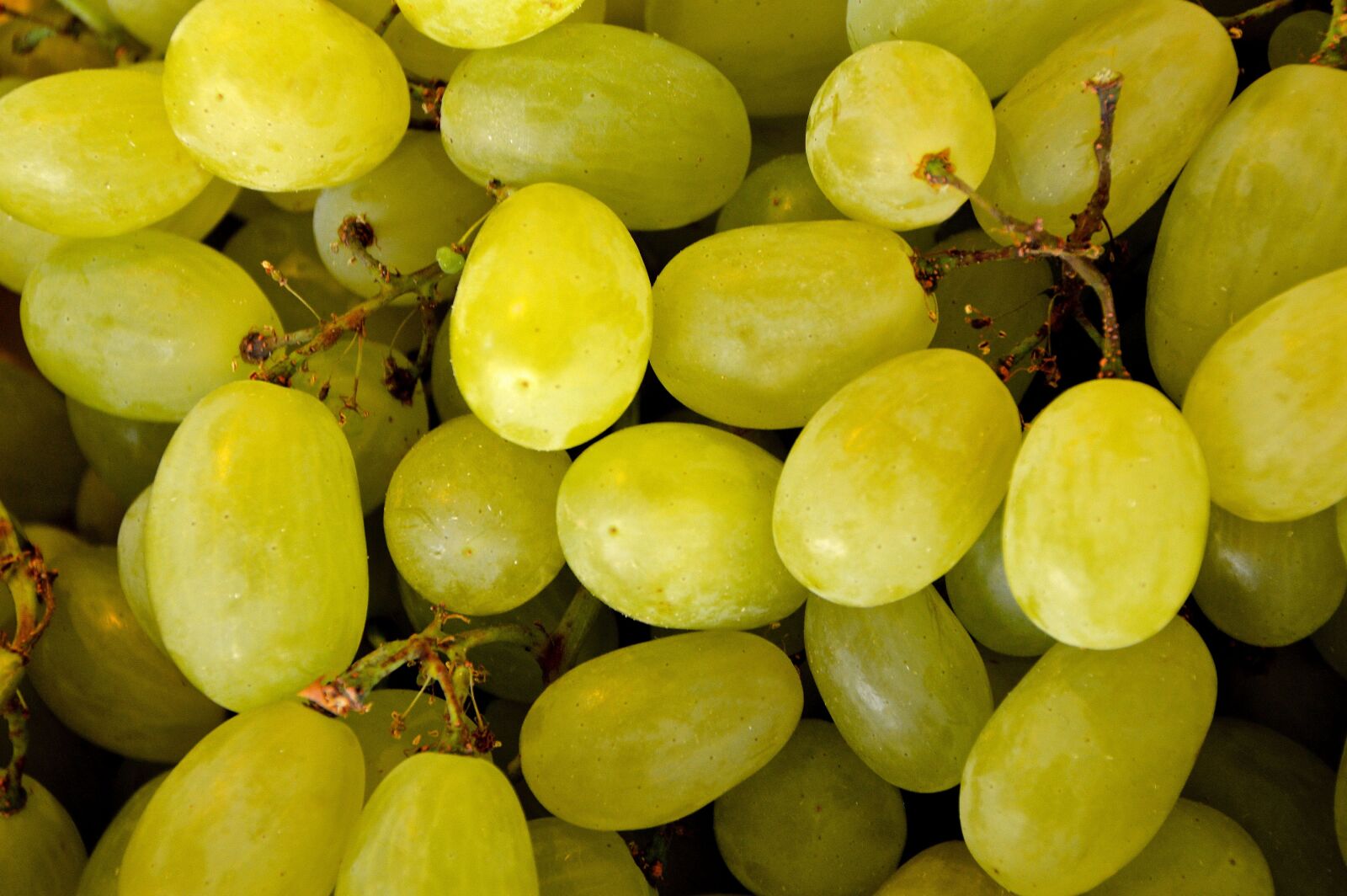 Nikon D3200 sample photo. Grape, grapes handle, sweet photography