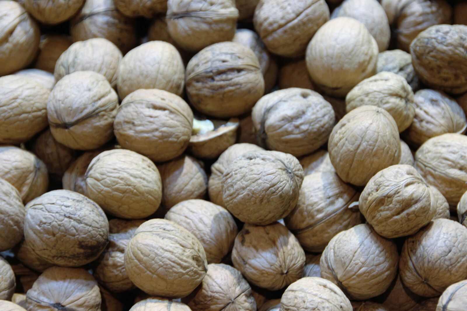 Canon EOS 600D (Rebel EOS T3i / EOS Kiss X5) sample photo. Walnuts, nuts, macro photography