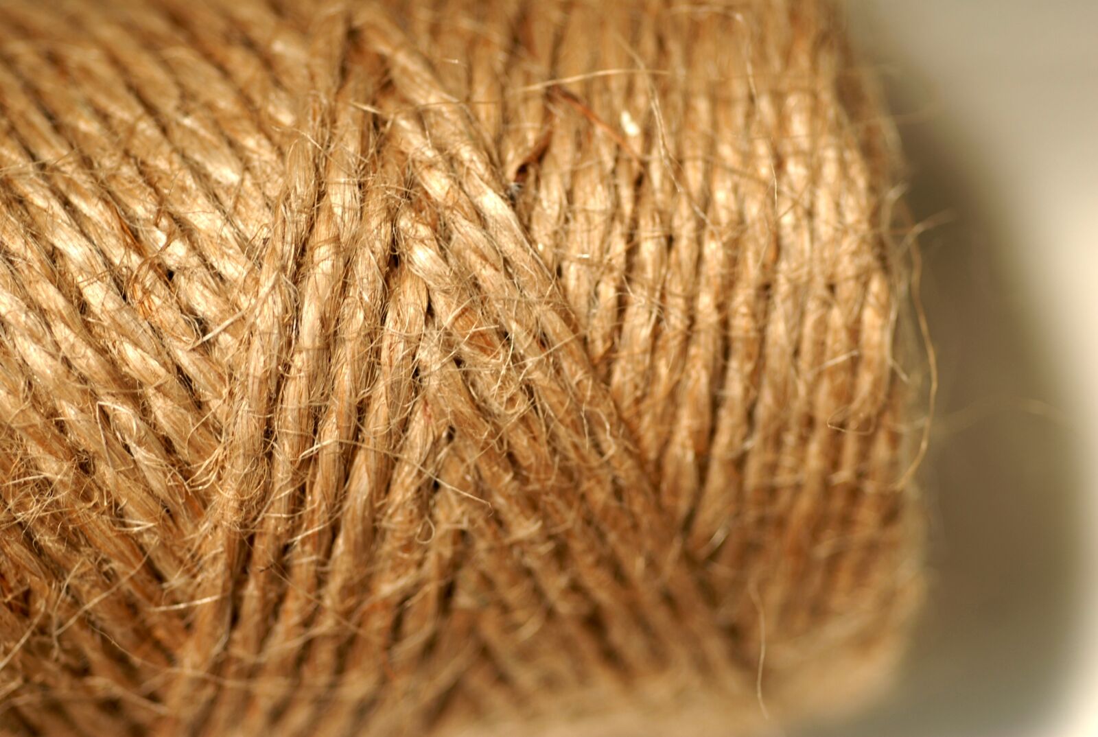 Nikon D200 sample photo. Coil thread, pattern, macro photography