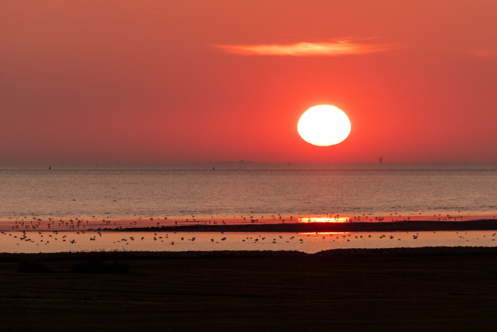 Panasonic Lumix DMC-FZ300 sample photo. Sun, sunset, horizon photography