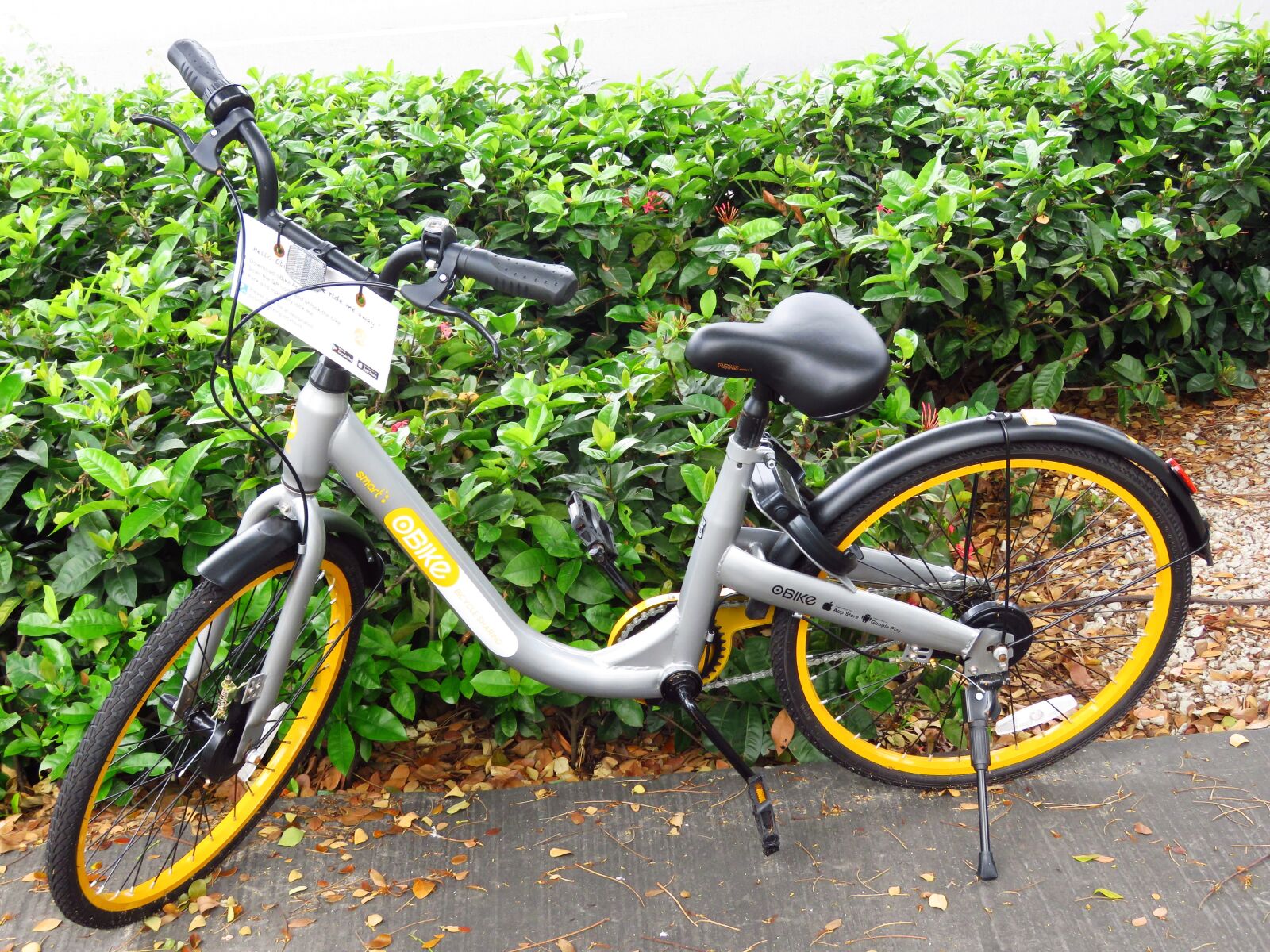 Canon PowerShot SX60 HS sample photo