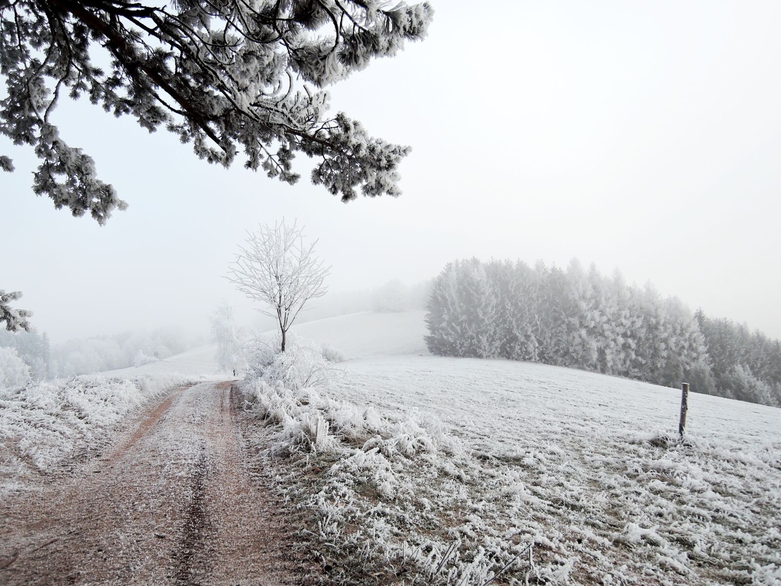 Nikon Coolpix P340 sample photo. Winter, landscape, view photography