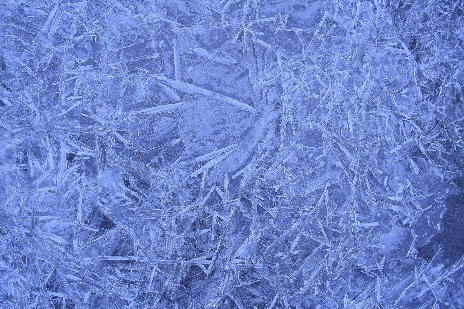 Canon EOS 1000D (EOS Digital Rebel XS / EOS Kiss F) sample photo. Ice, eiskristalle, winter photography