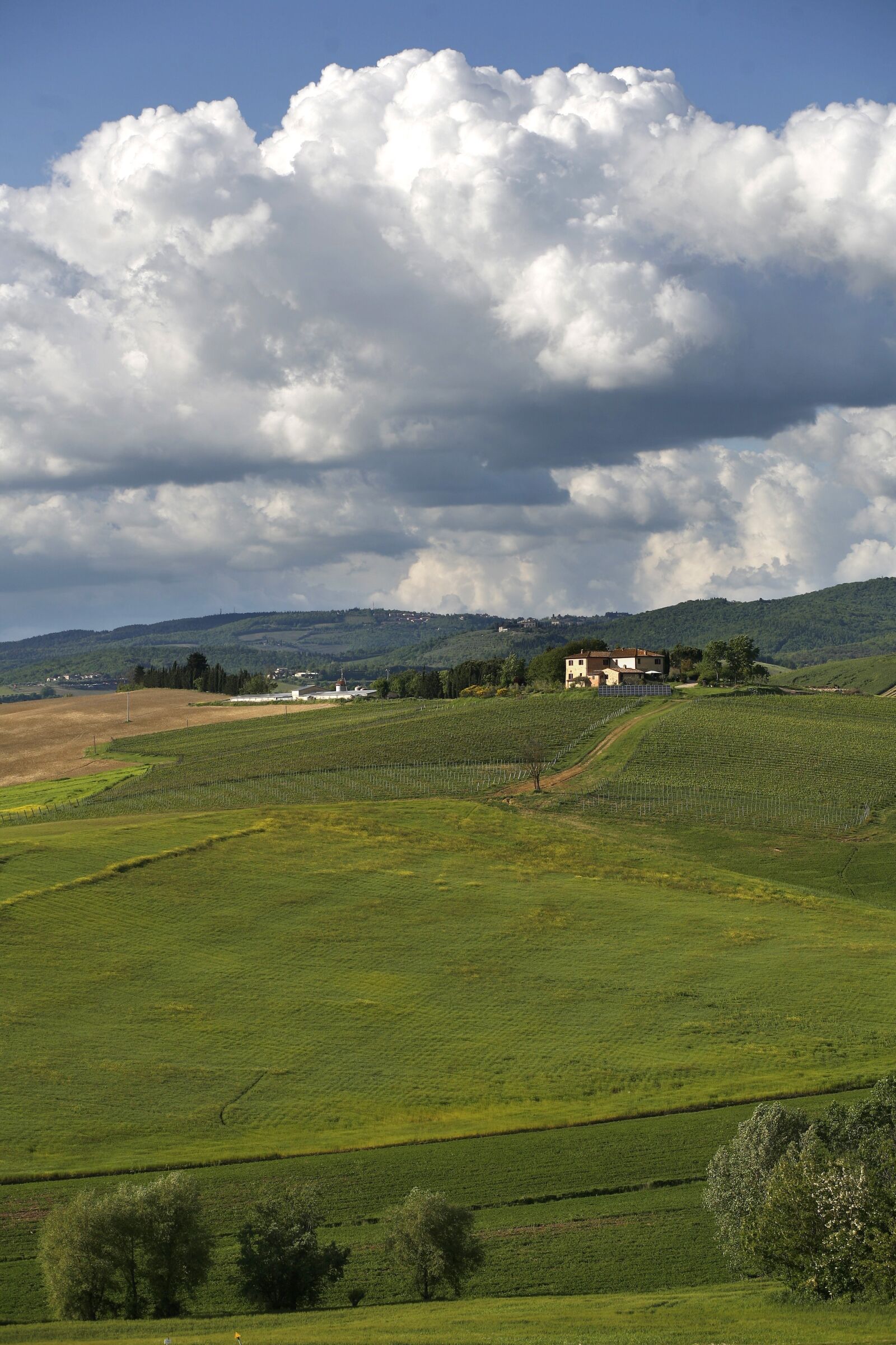 Canon EOS 5D sample photo. Italy, tuscany, chianti photography