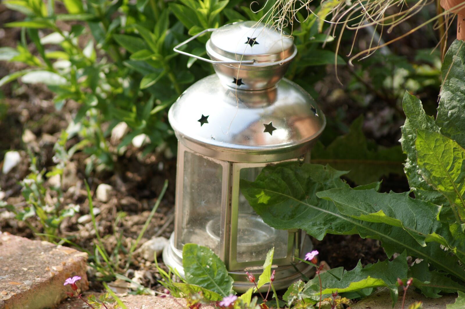 Sony Alpha DSLR-A390 sample photo. Garden, lamp, candle photography
