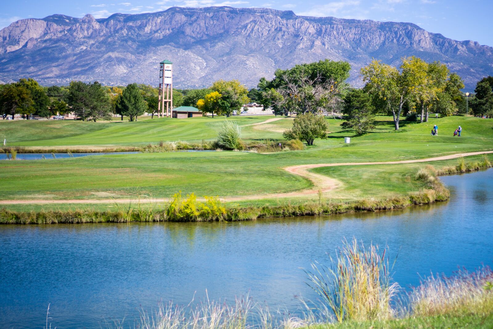 Sony a6000 + Sony E 35mm F1.8 OSS sample photo. Golf, albuquerque, nm photography