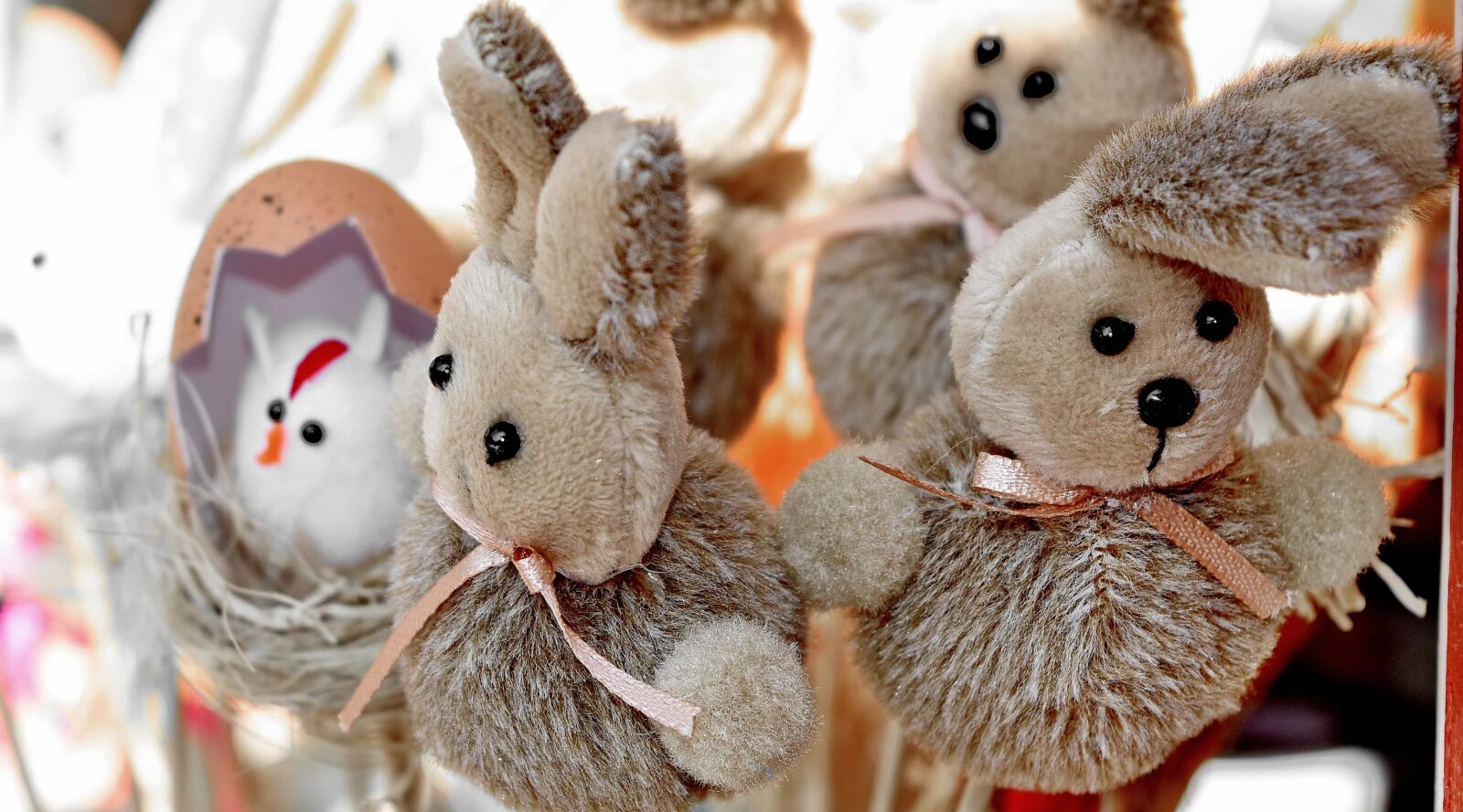 Nikon D5500 sample photo. Teddy bear toy, bunny photography