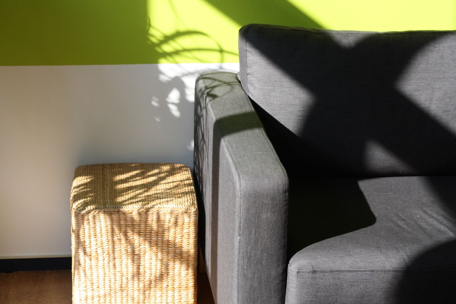 Canon EOS 1000D (EOS Digital Rebel XS / EOS Kiss F) sample photo. Office, coaching, sofa photography