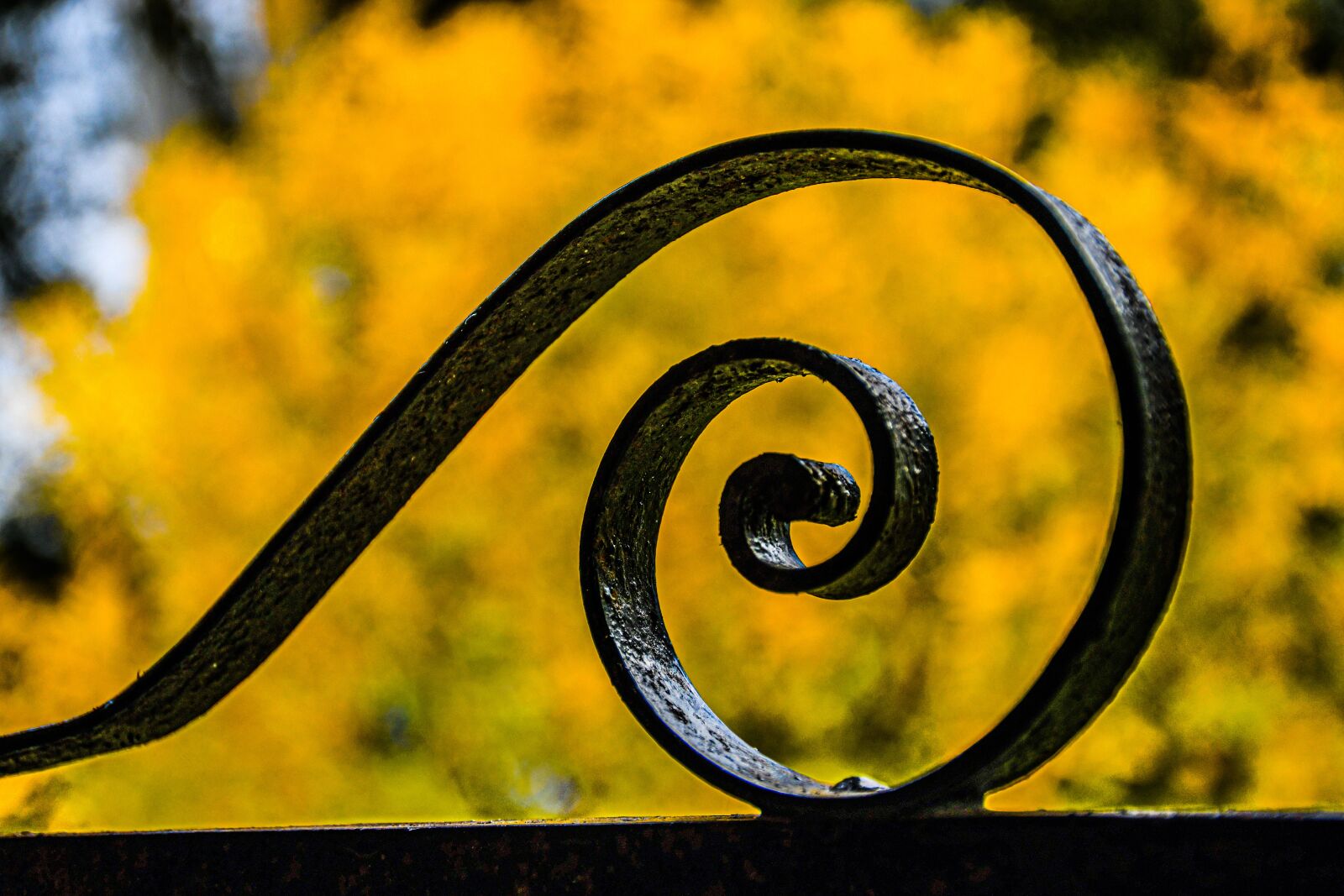 Nikon D7500 sample photo. Radial, iron, metal photography