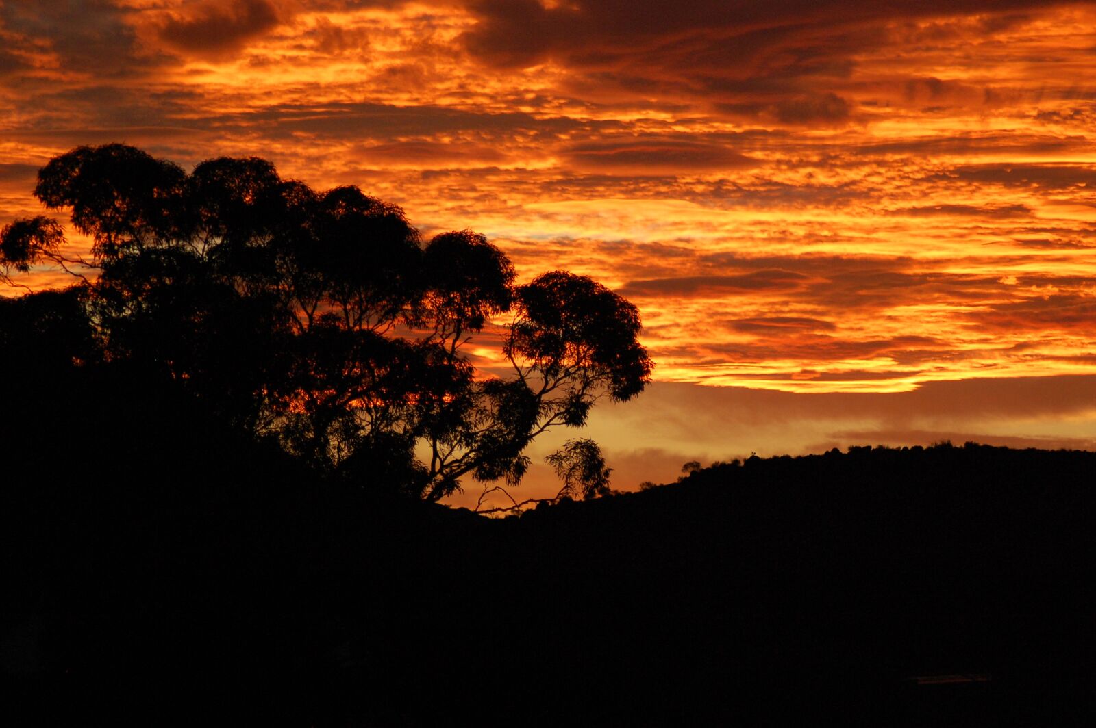 Nikon D40 sample photo. Sunset, africa, safari photography