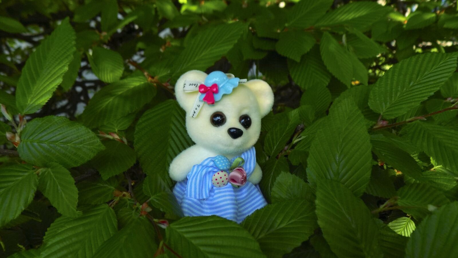 Nikon COOLPIX L330 sample photo. Bear, teddy-bear, toy photography