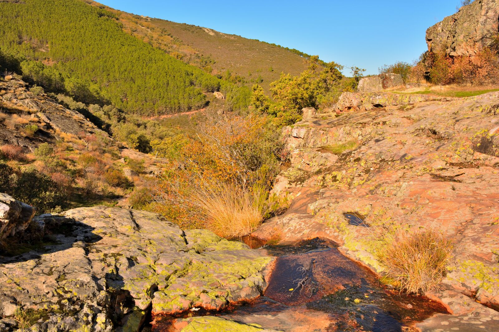 Nikon D7100 sample photo. Landscapes, nature, forest photography