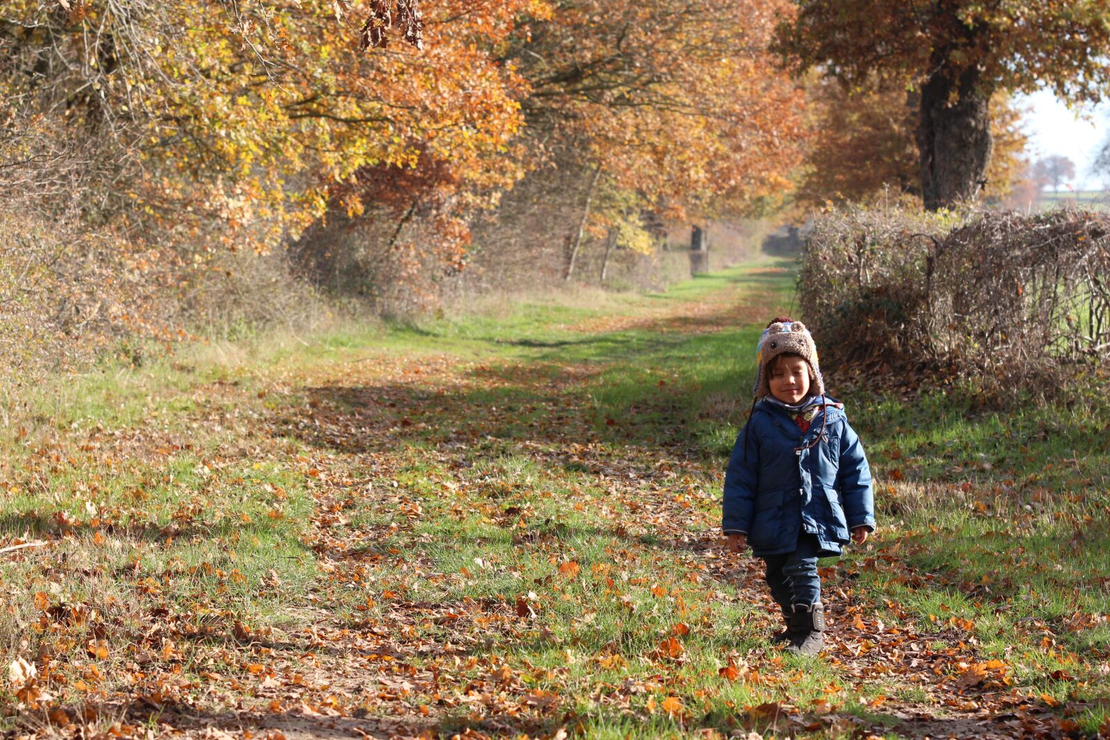 Canon EOS 650D (EOS Rebel T4i / EOS Kiss X6i) sample photo. Kid, autumn, trees photography
