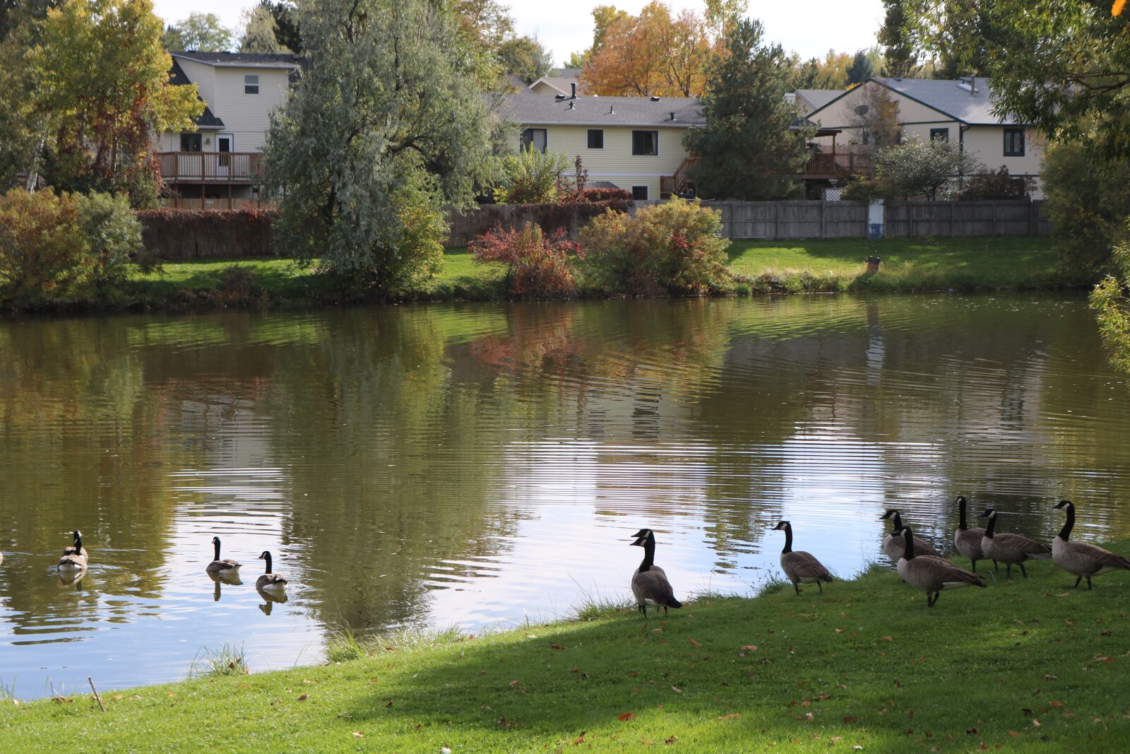 Canon EOS 750D (EOS Rebel T6i / EOS Kiss X8i) sample photo. Allen park, greeley, colorado photography