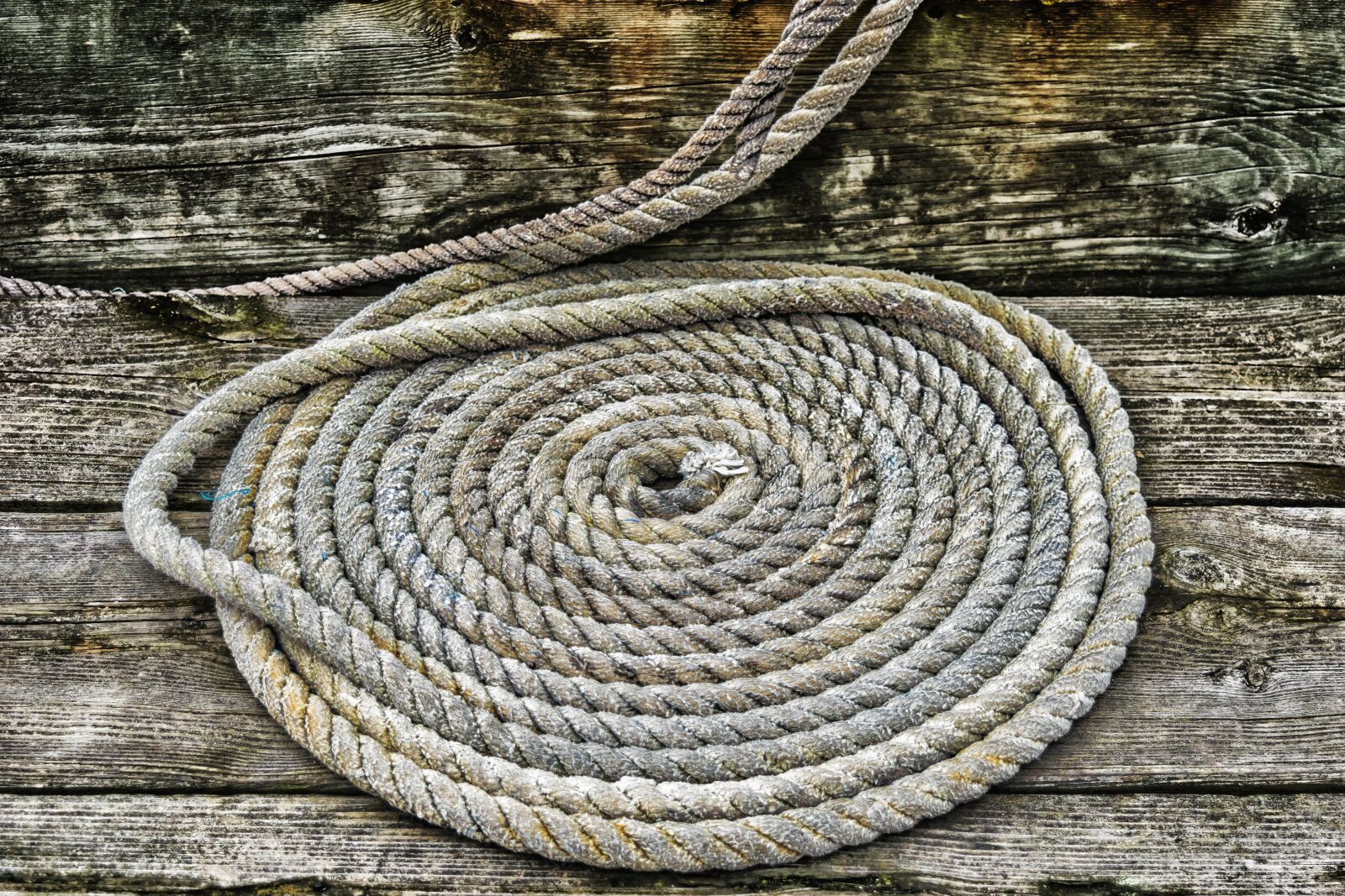 Nikon D3300 sample photo. Dew, knitting, rope photography