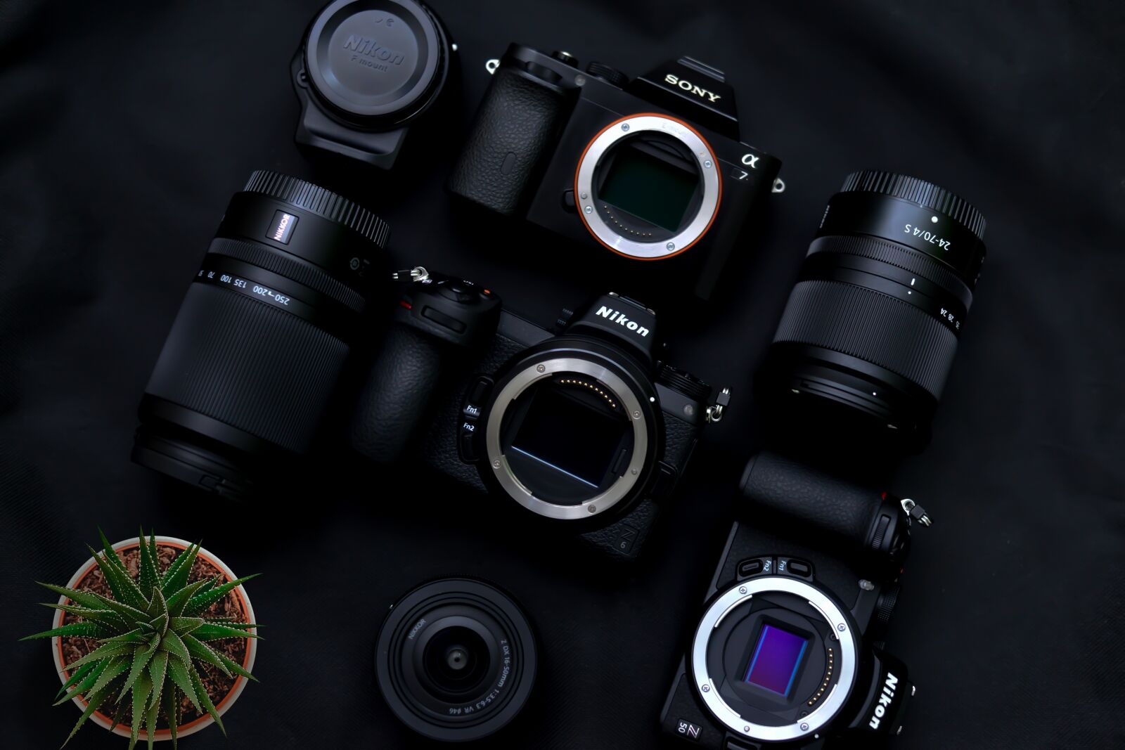 Nikon D600 sample photo. Cameras, dslr, lens photography