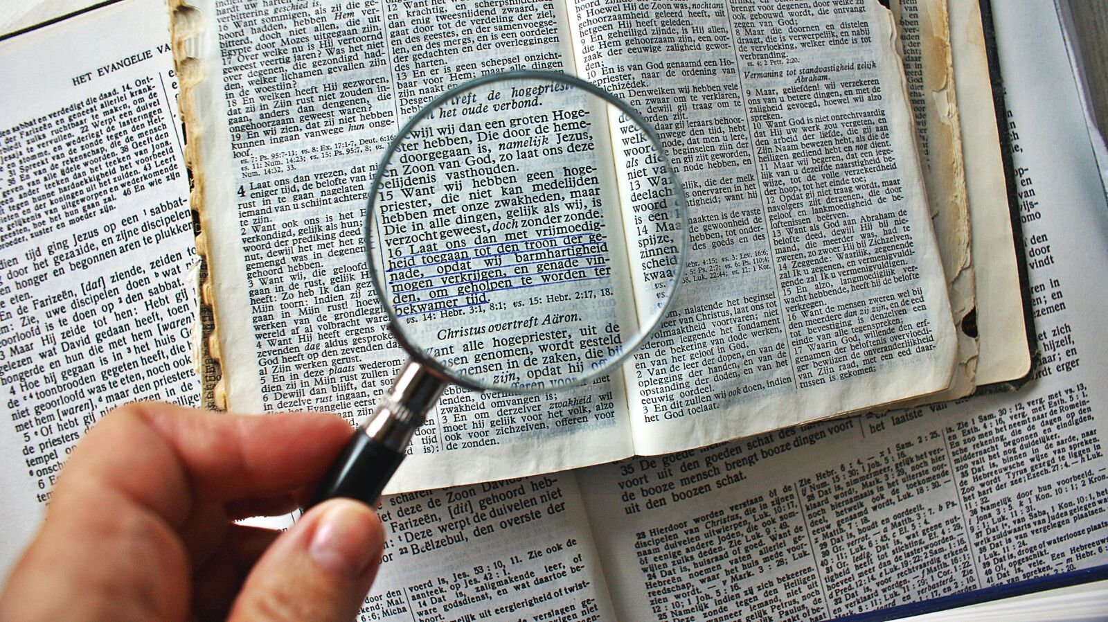 Sony Alpha DSLR-A350 sample photo. Magnifying glass, to enlarge photography