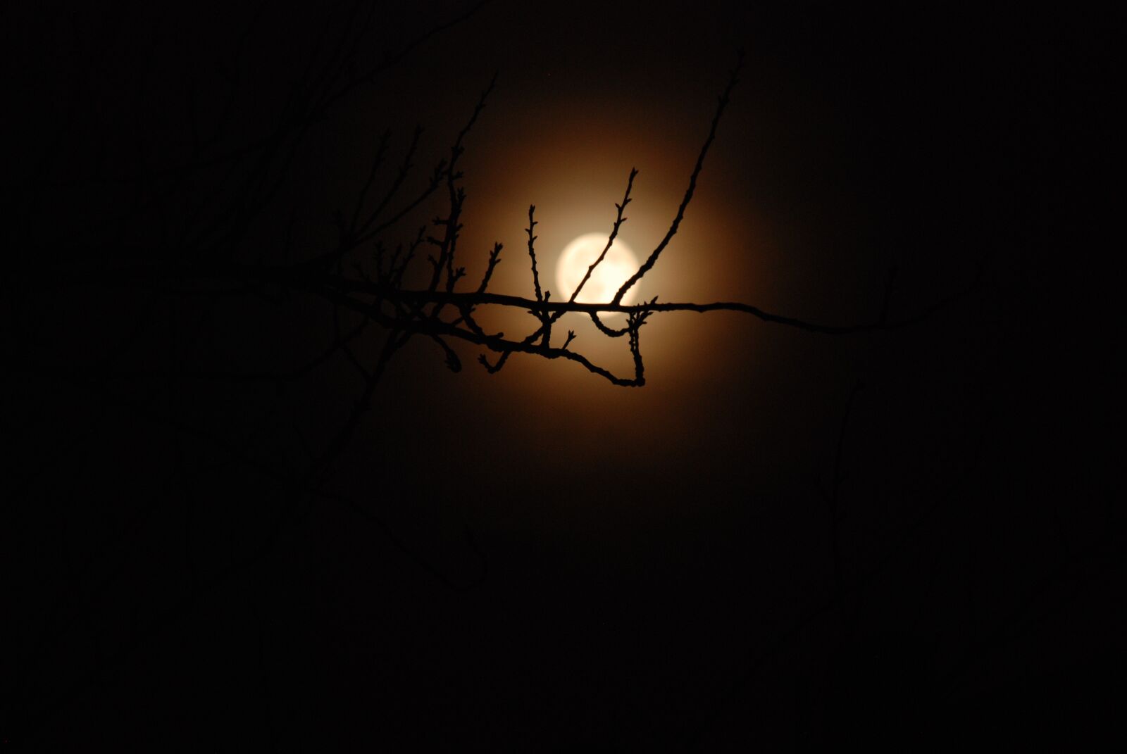 Nikon D80 sample photo. Night, moon, dark photography