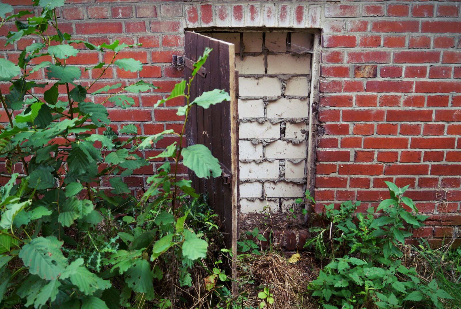 Sony DT 18-55mm F3.5-5.6 SAM II sample photo. Door, wall, bricked up photography