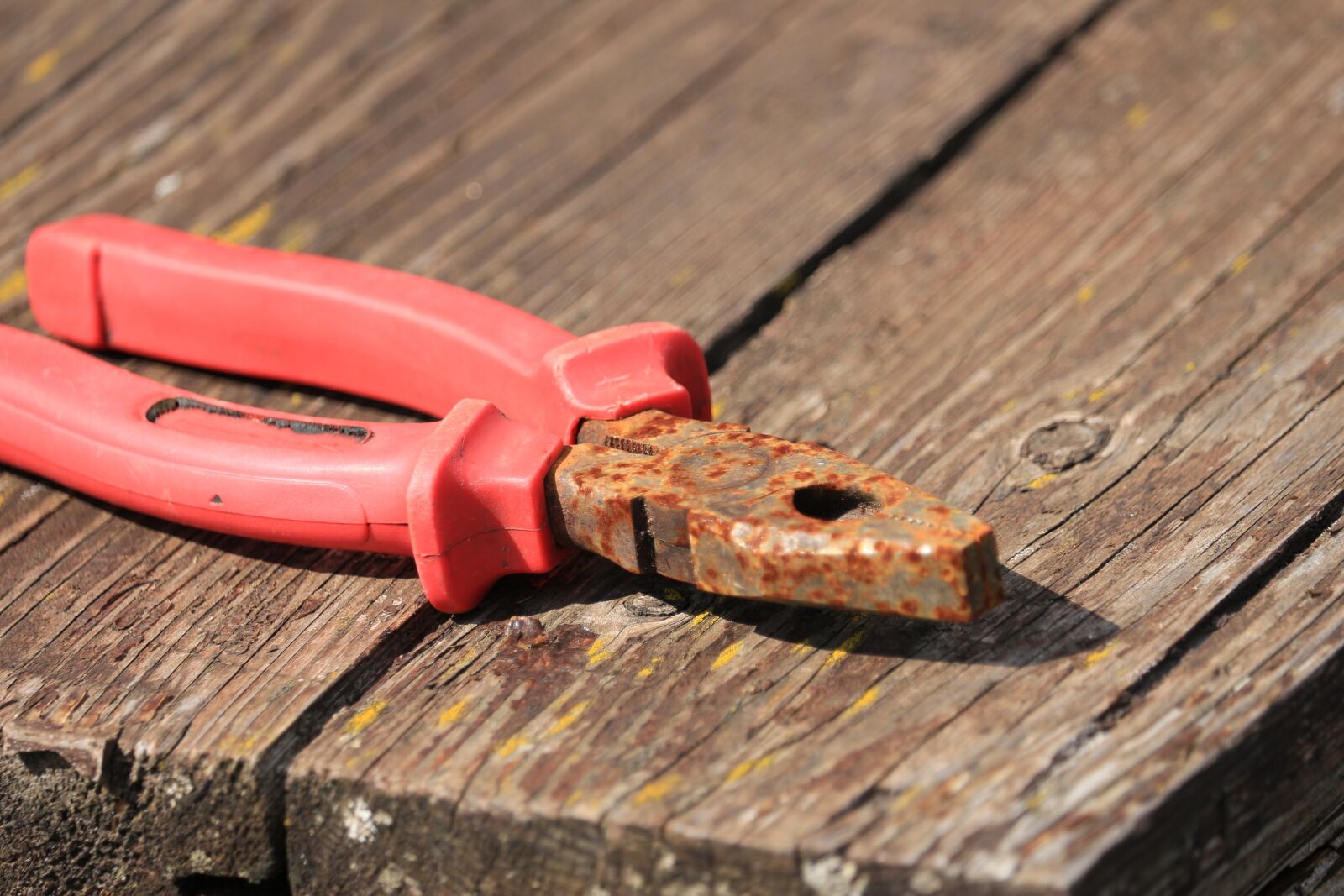 Canon EF-S 55-250mm F4-5.6 IS STM sample photo. Pliers, pink, metal photography